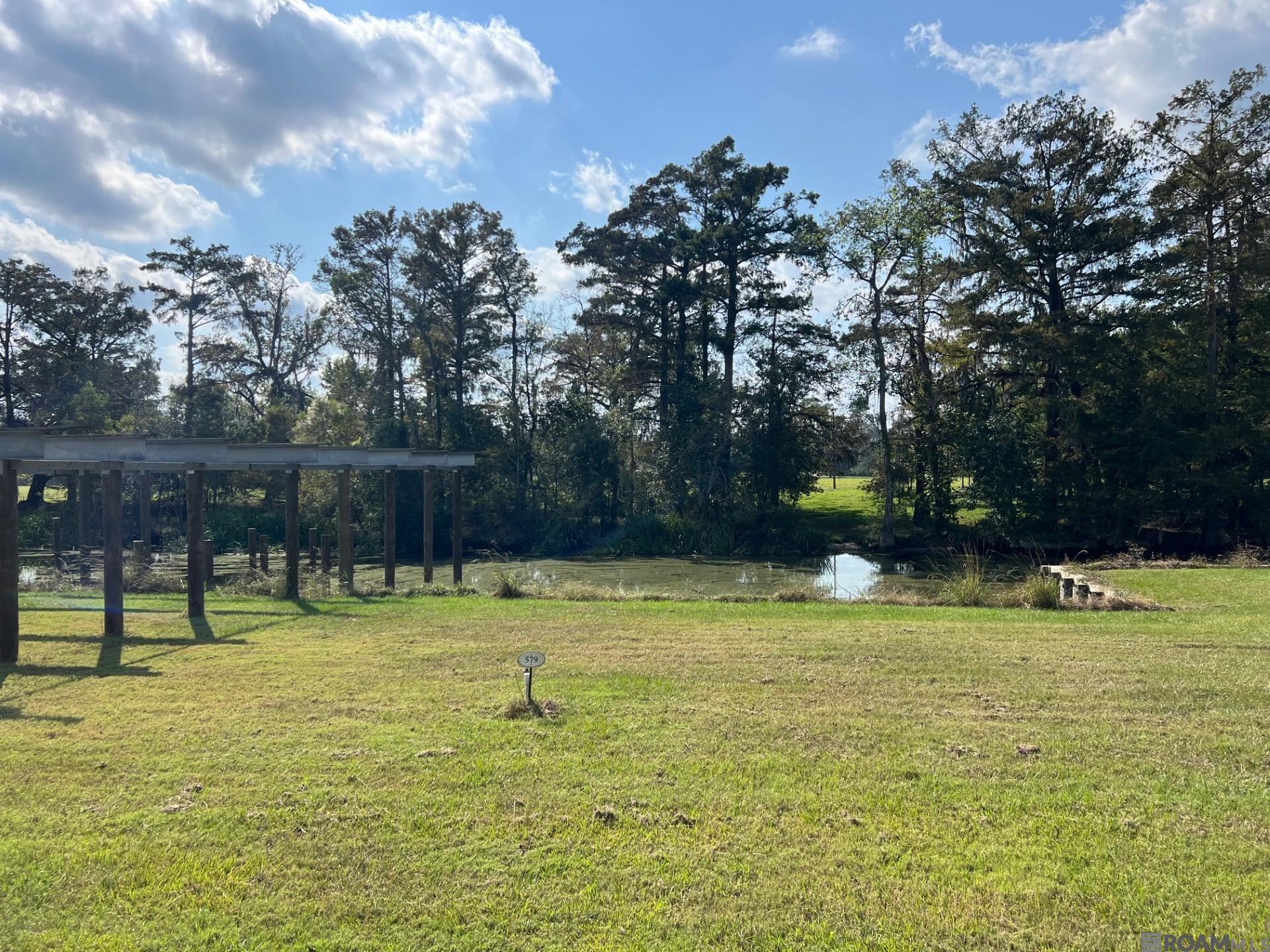 23101 Carter Plantation Dr