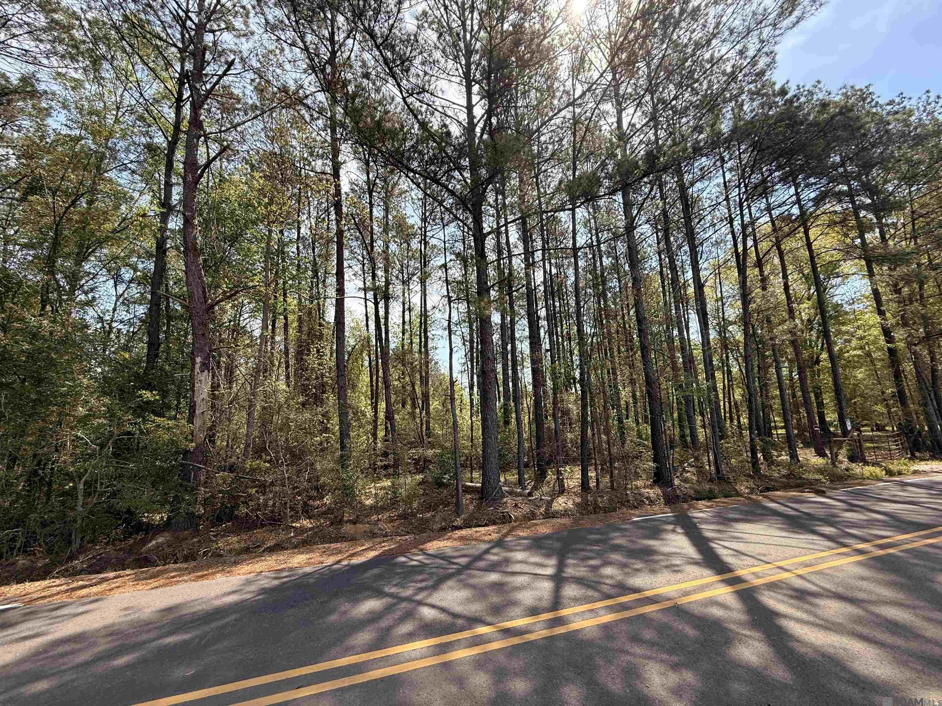 10 Acres H Cologne Rd