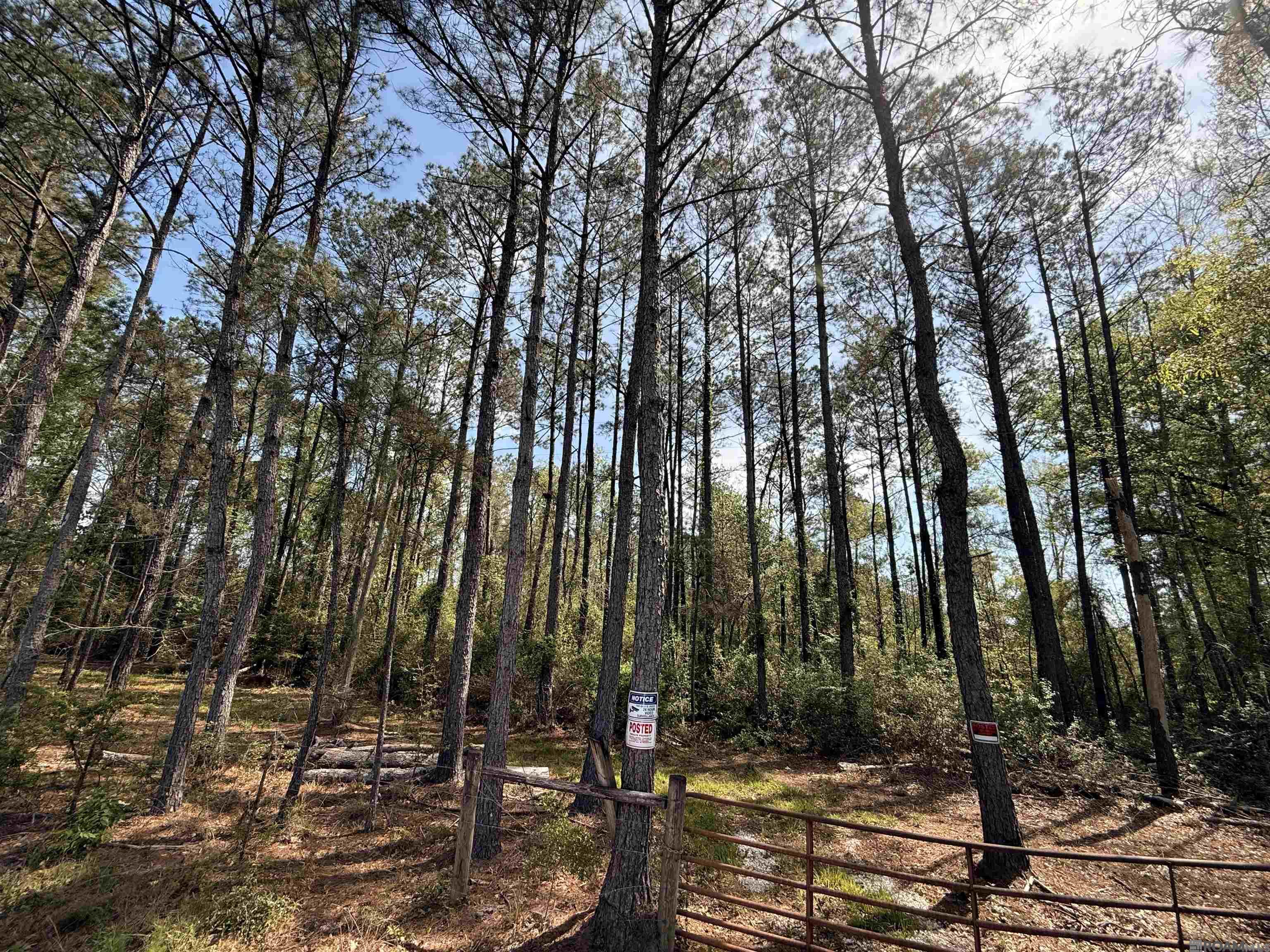 10 Acres H Cologne Rd