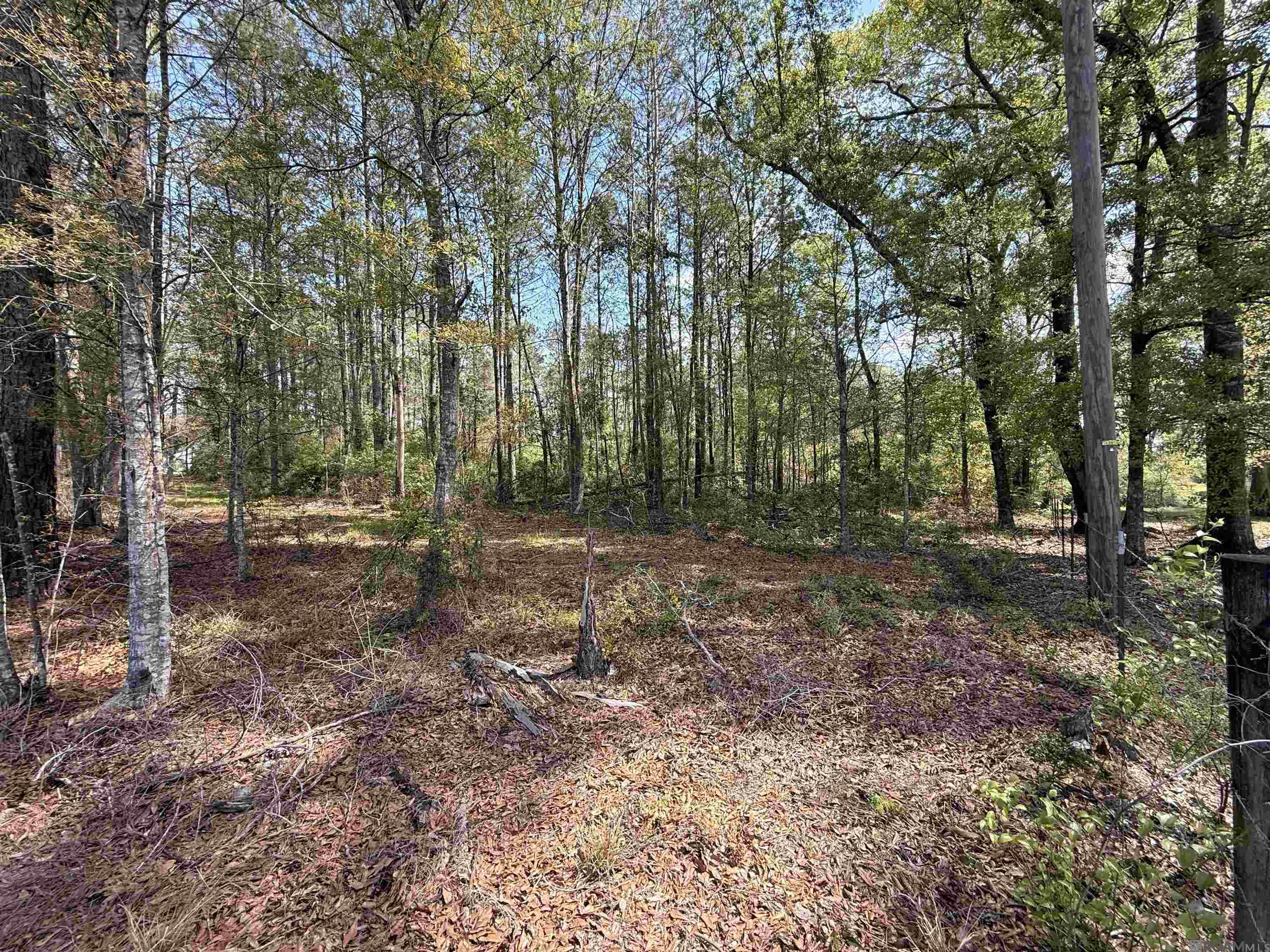 10 Acres H Cologne Rd