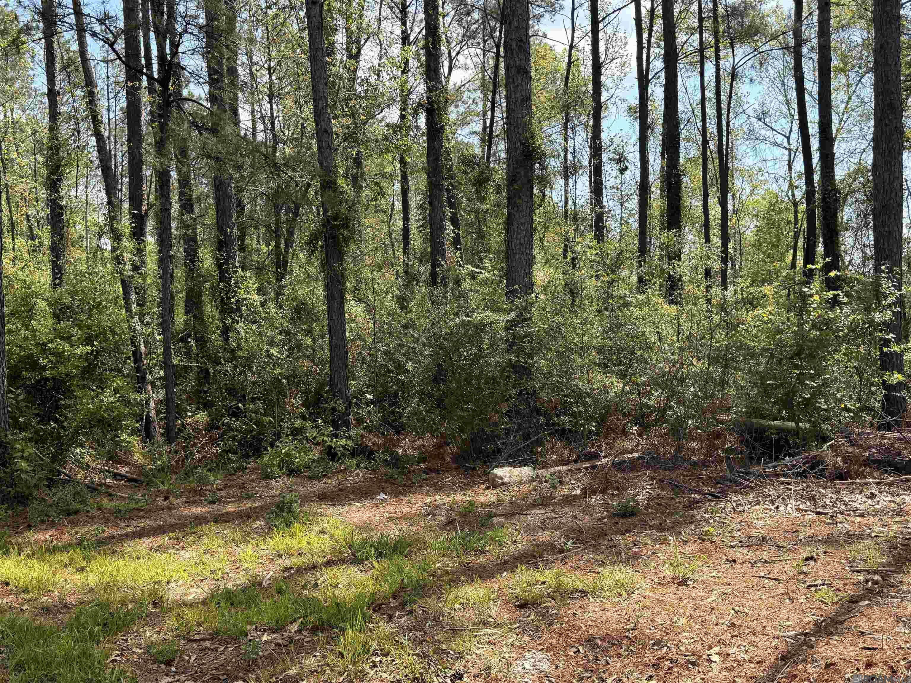 10 Acres H Cologne Rd