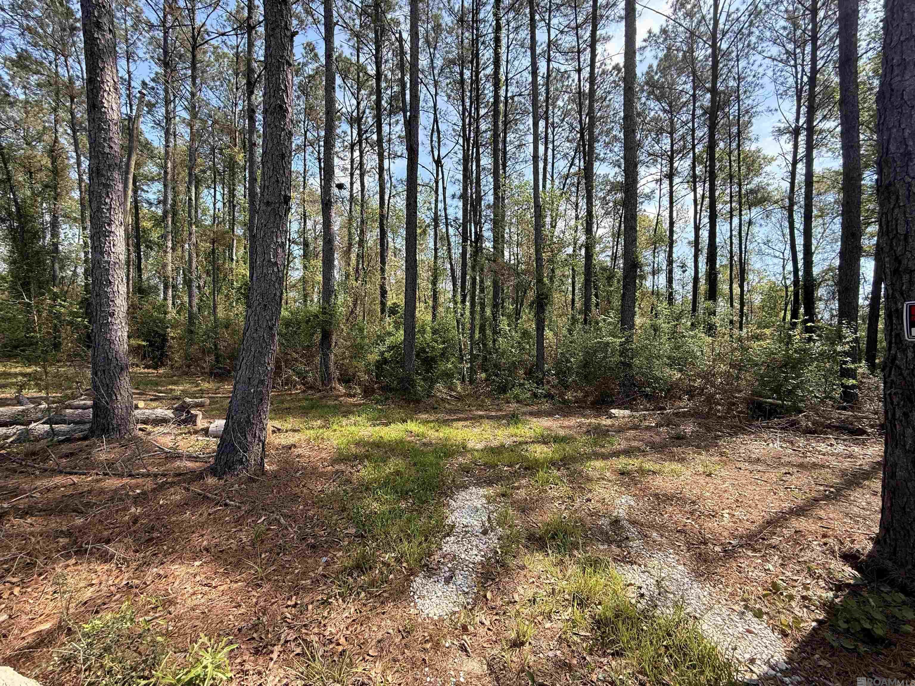 10 Acres H Cologne Rd