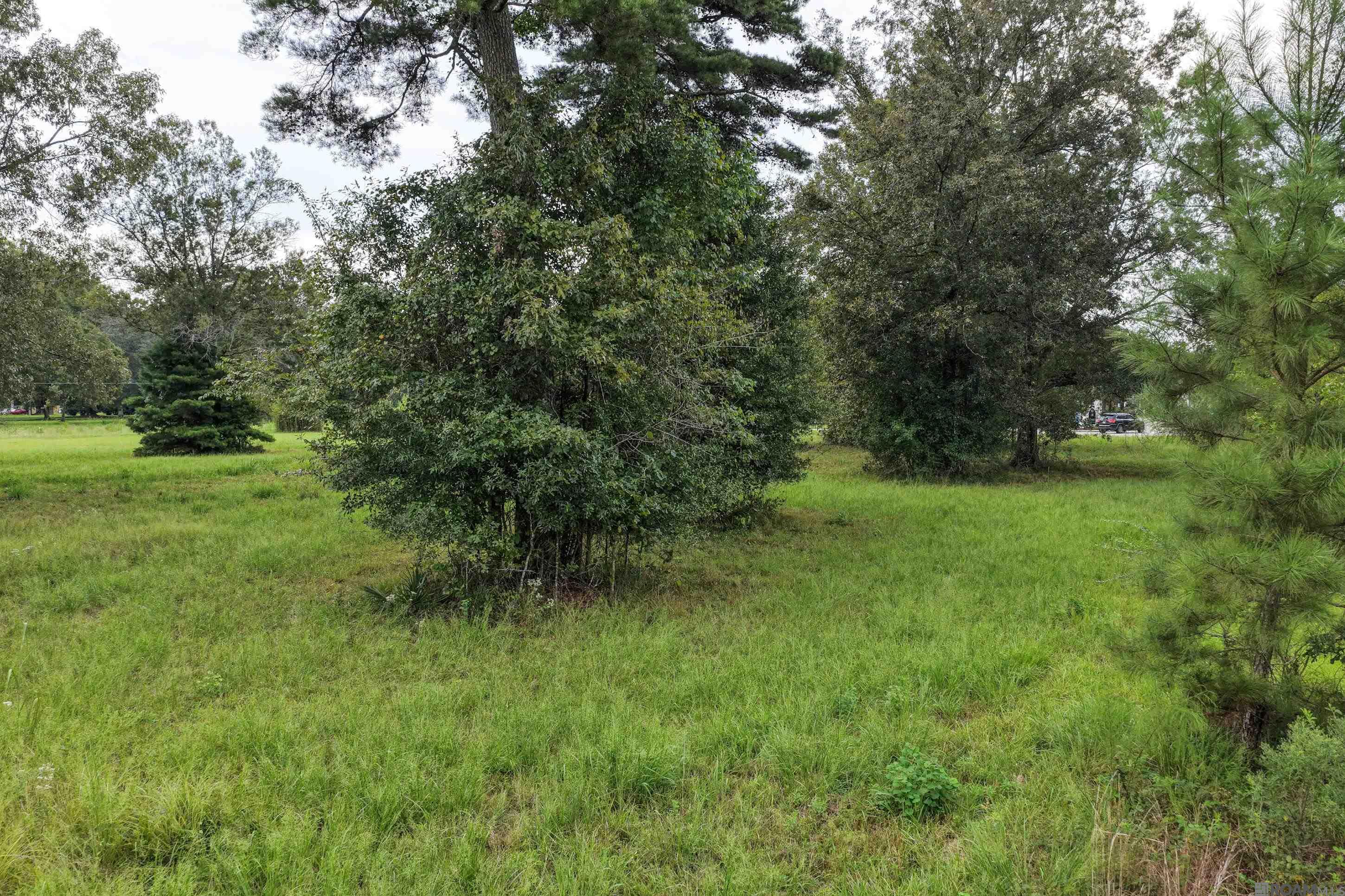 11103 Buddy Ellis Rd