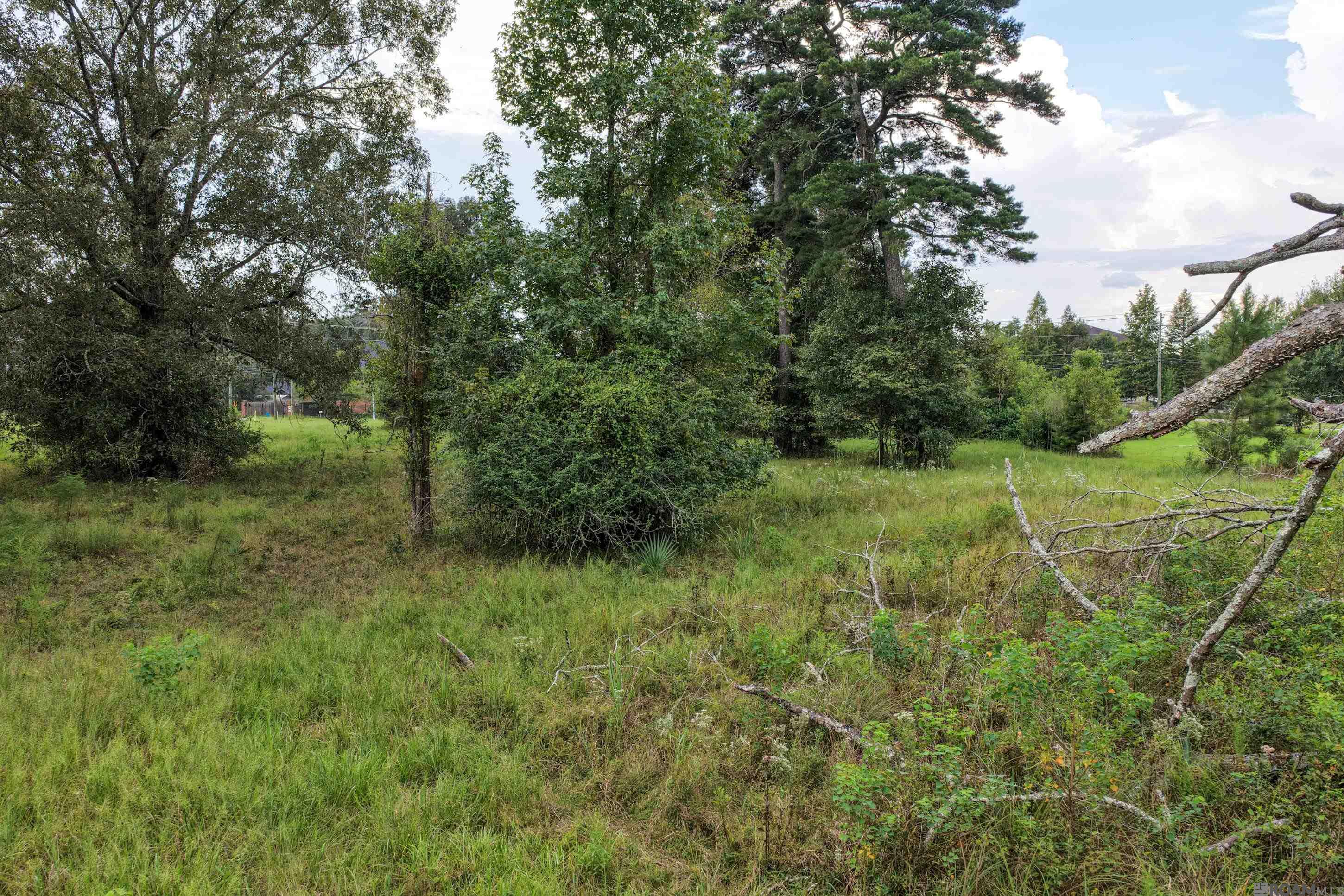 11103 Buddy Ellis Rd