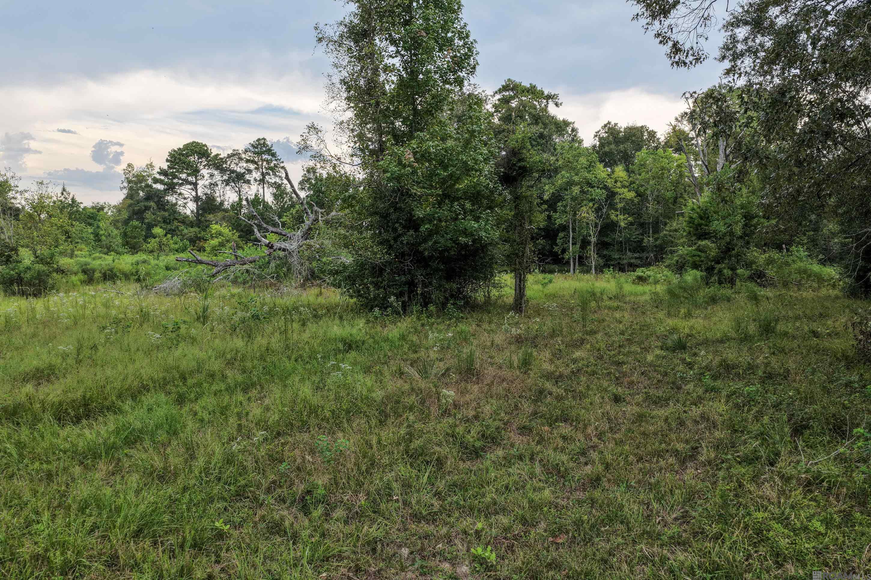 11103 Buddy Ellis Rd