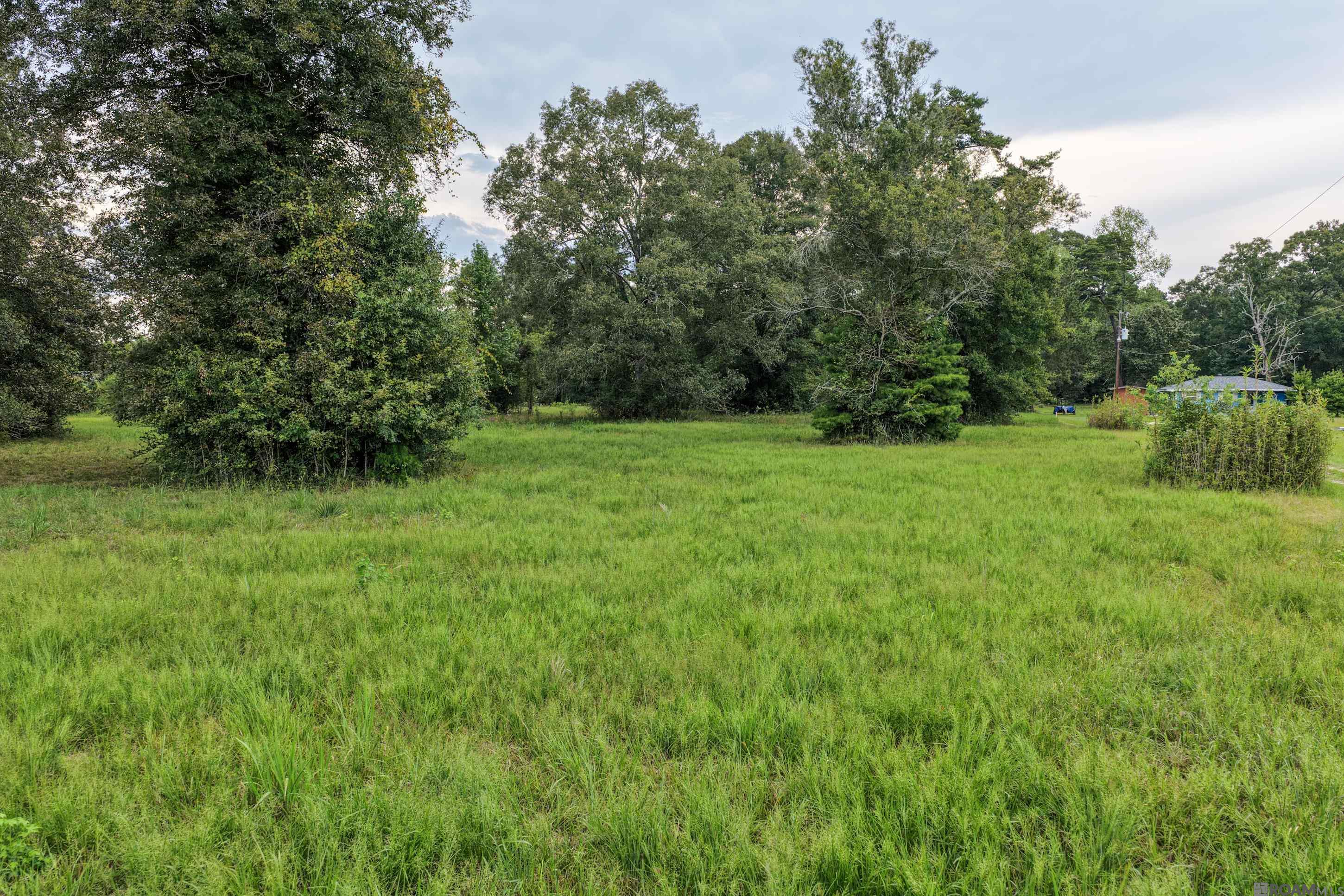 11103 Buddy Ellis Rd