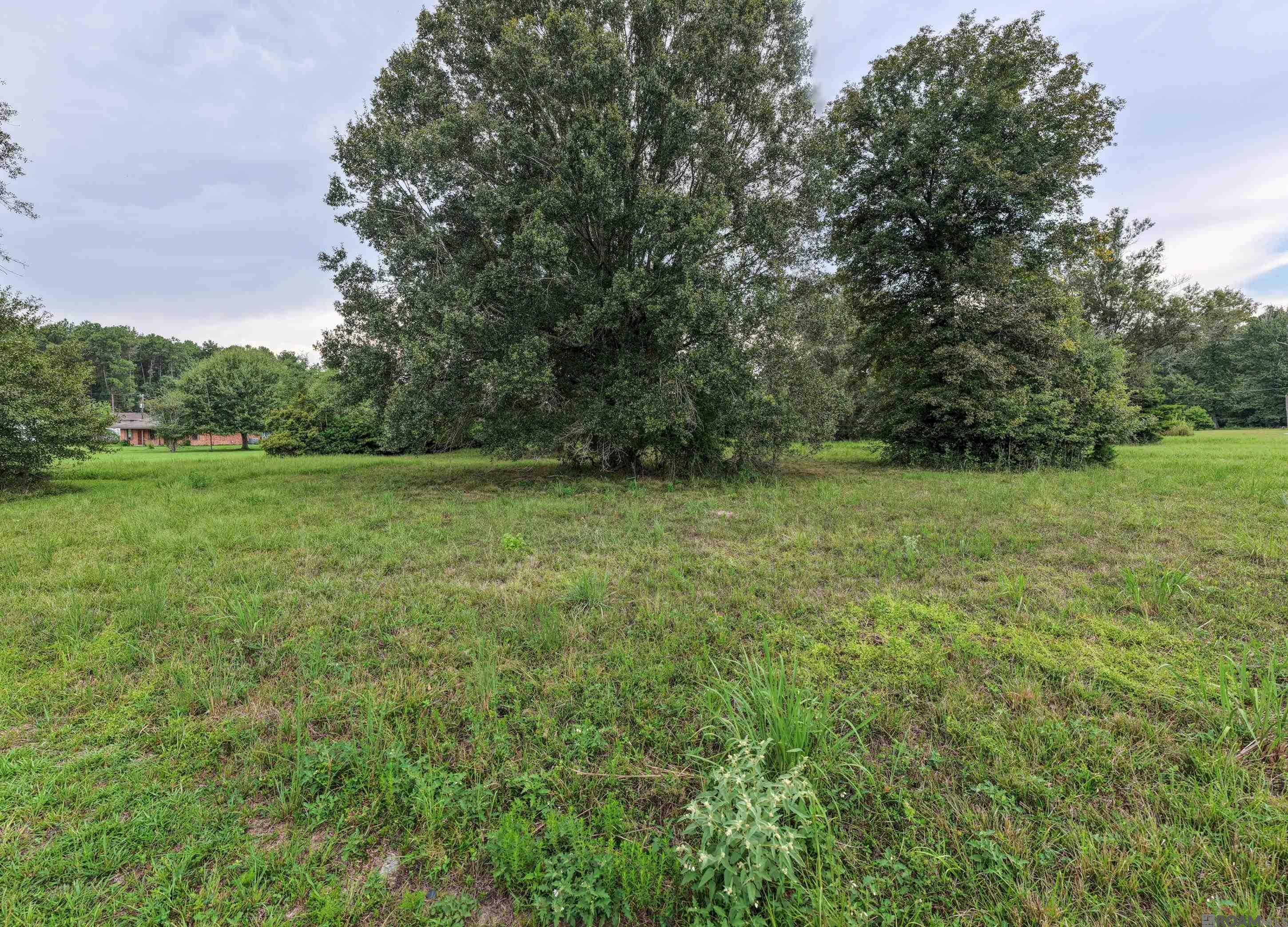 11103 Buddy Ellis Rd