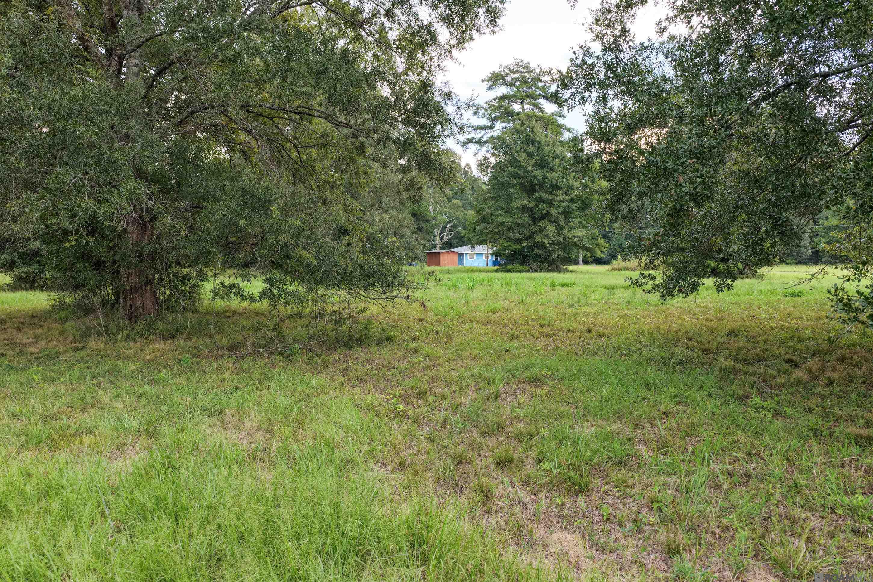 11103 Buddy Ellis Rd
