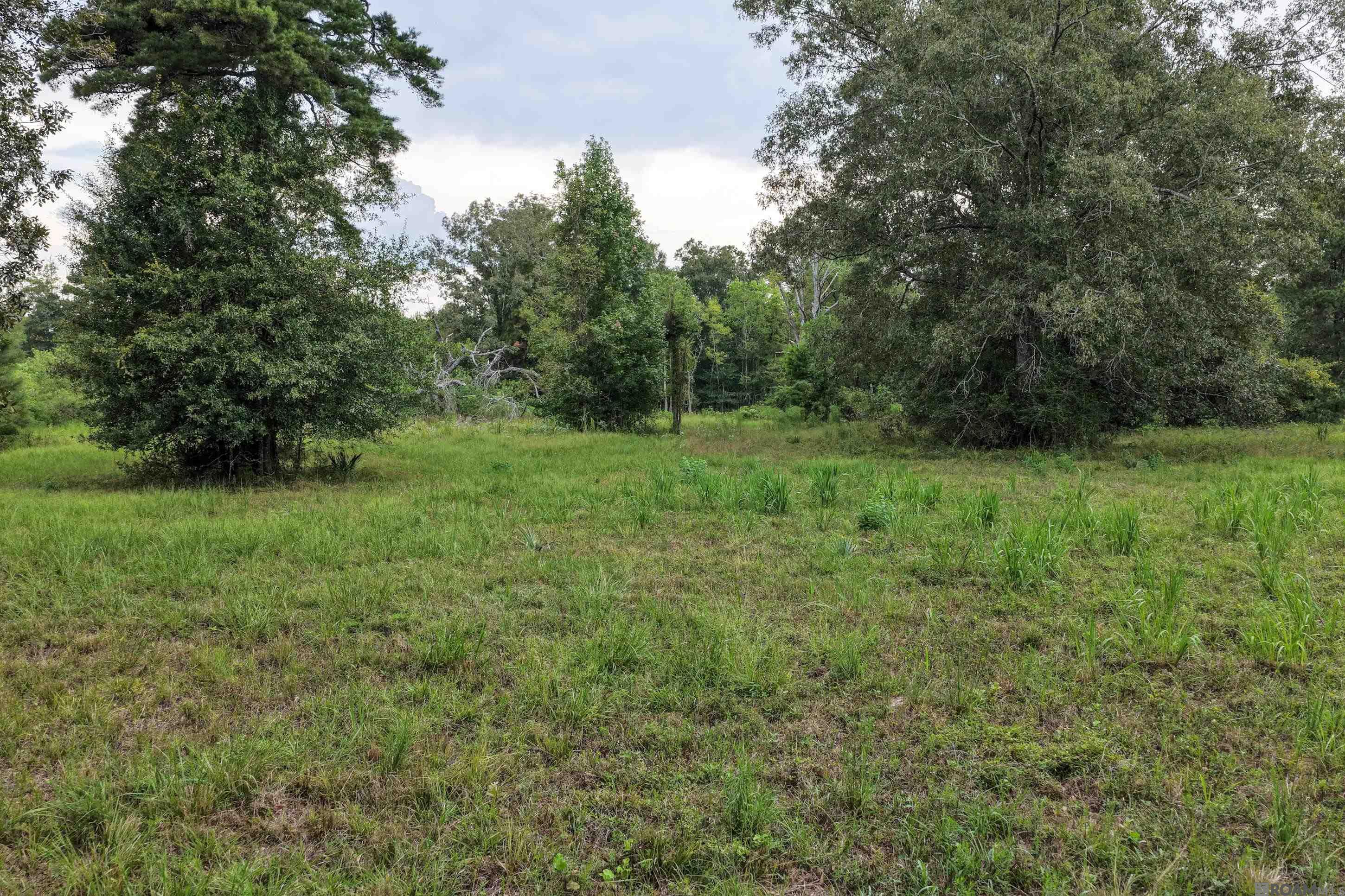 11103 Buddy Ellis Rd