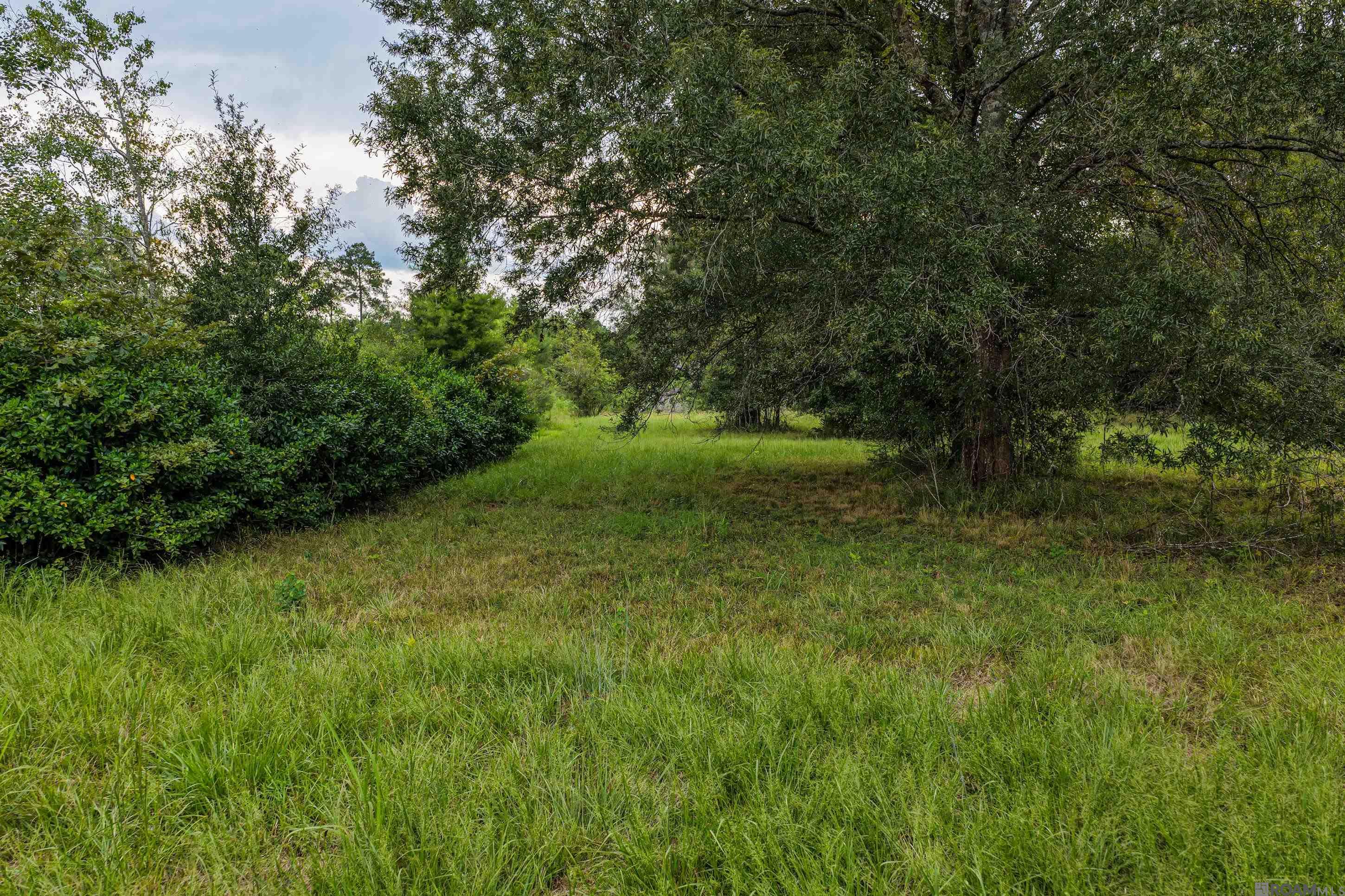 11103 Buddy Ellis Rd