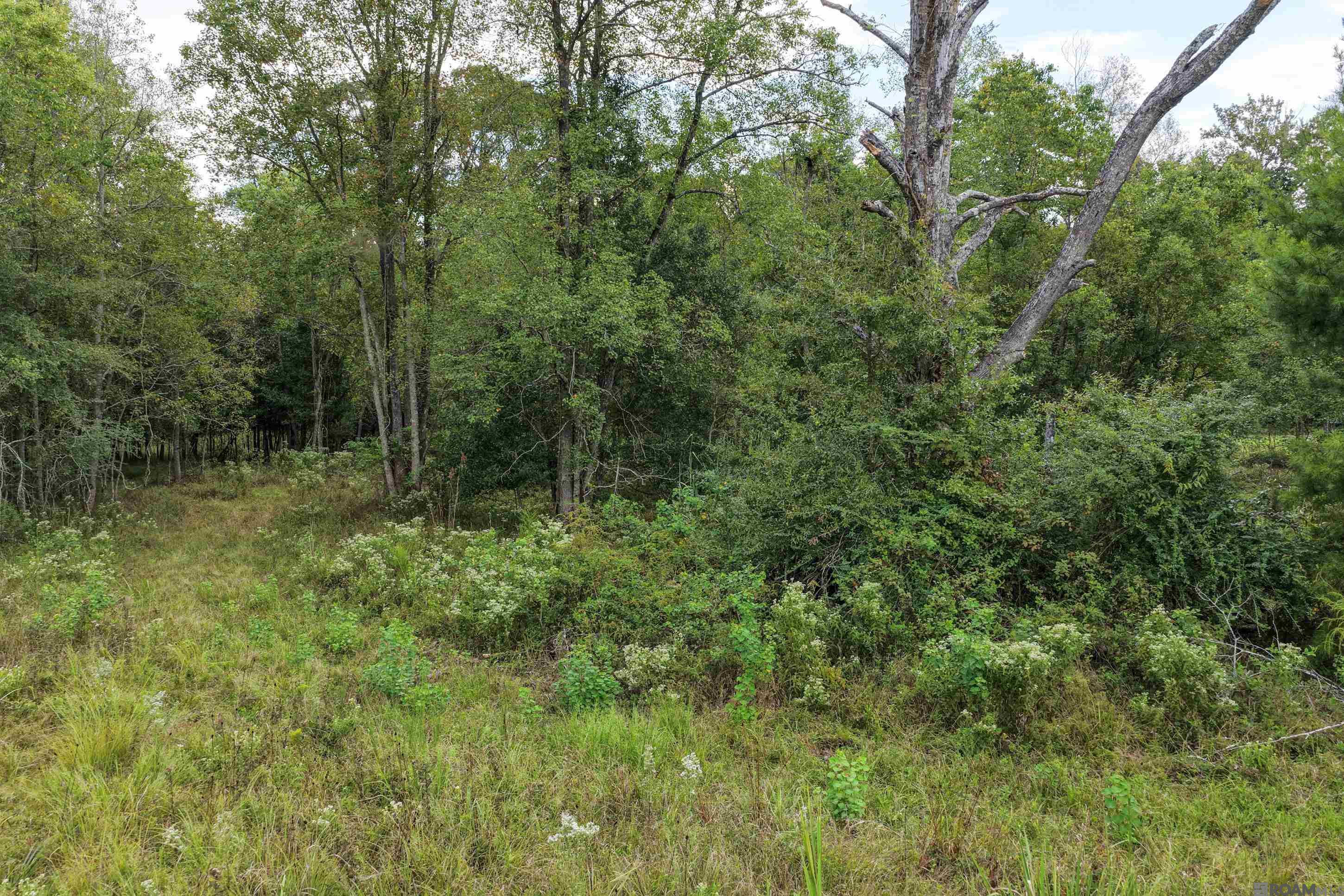 11103 Buddy Ellis Rd