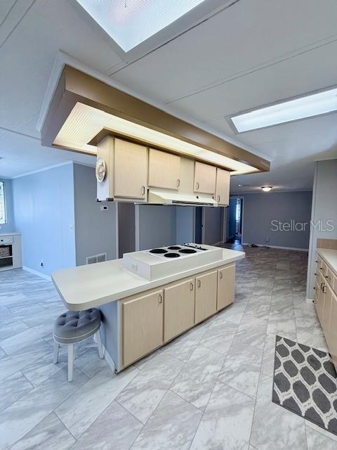 1011 ELIZABETH LN