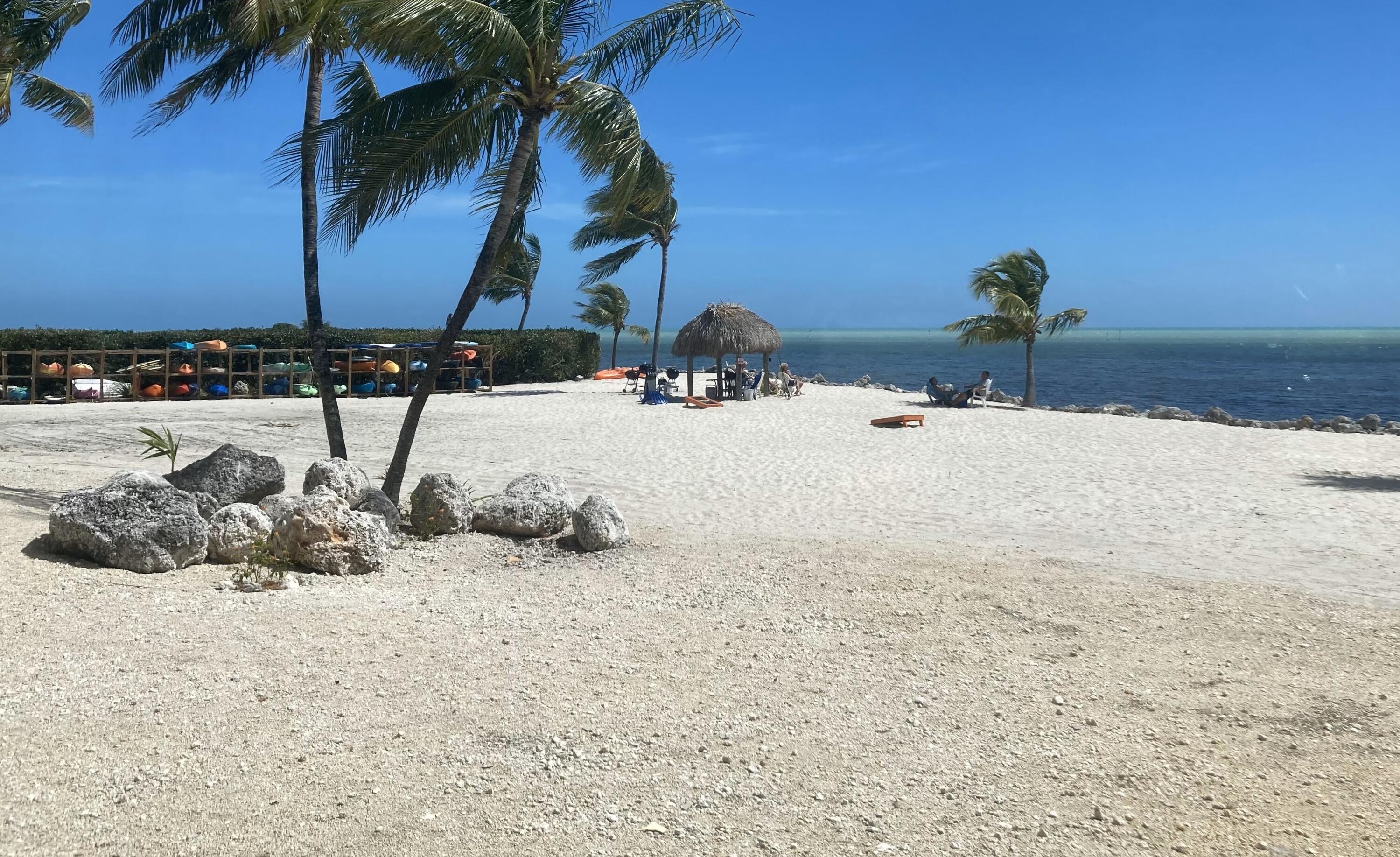 200 Wrenn Street Unit: 502