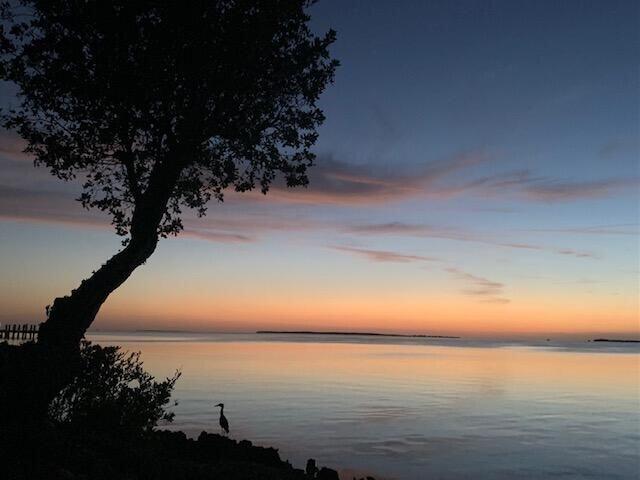 97652 Overseas Highway Unit: M11