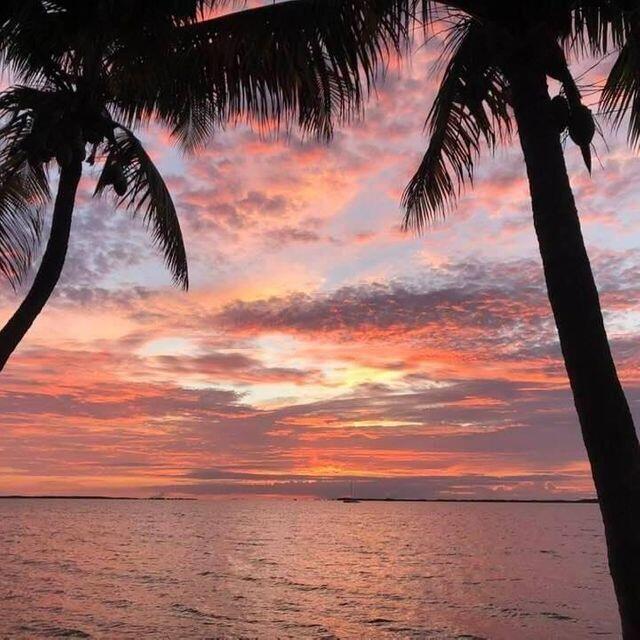 97652 Overseas Highway Unit: M11