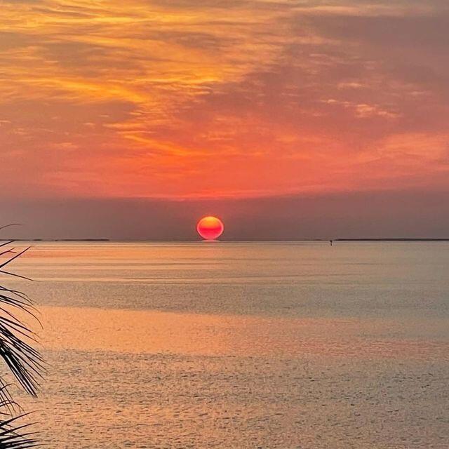 97652 Overseas Highway Unit: M11