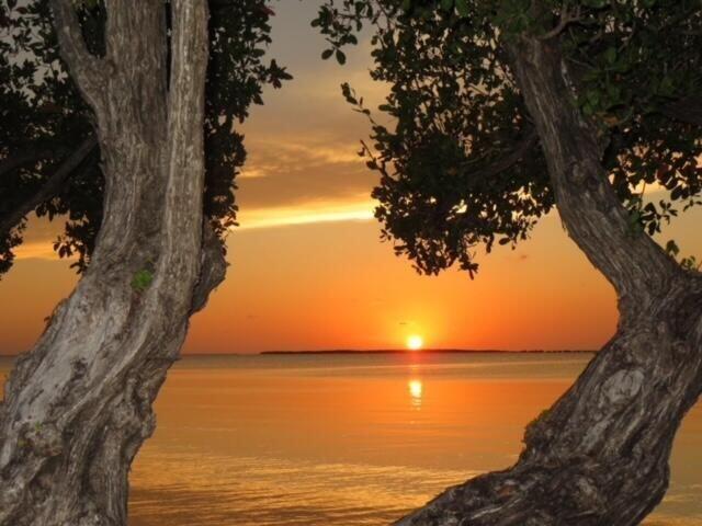 97652 Overseas Highway Unit: M11