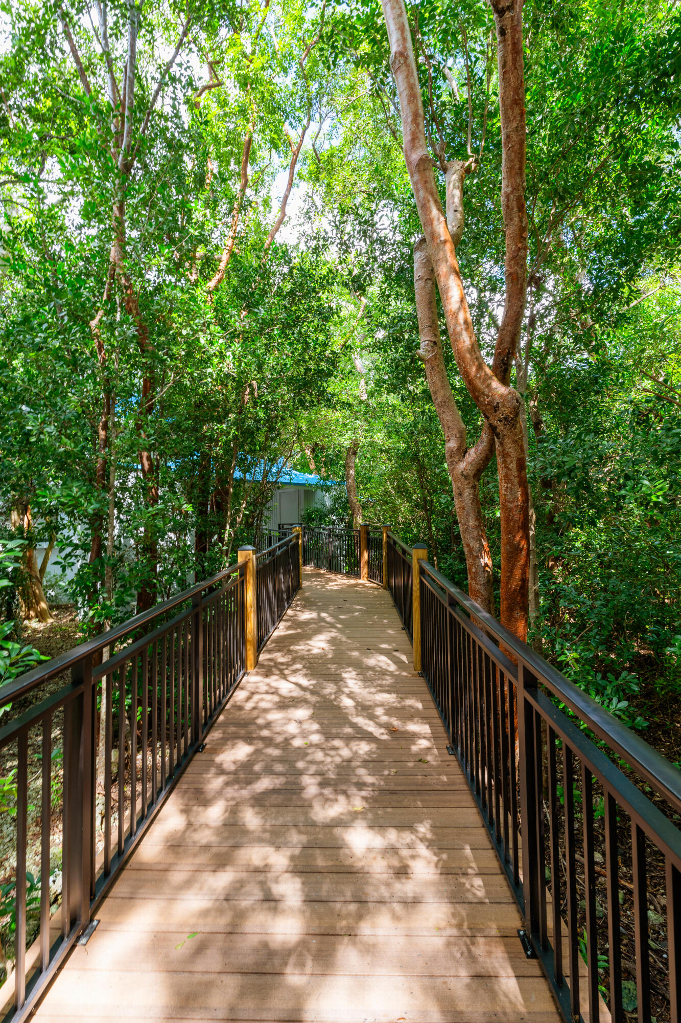 204 Sanctuary Drive Unit: 204