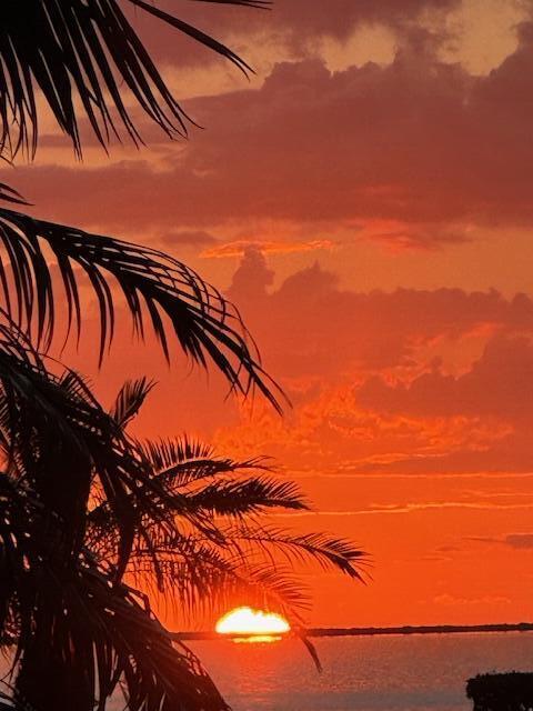 104500 Overseas Highway Unit: A103