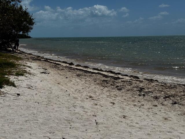 105 Avenue D Unit: 110