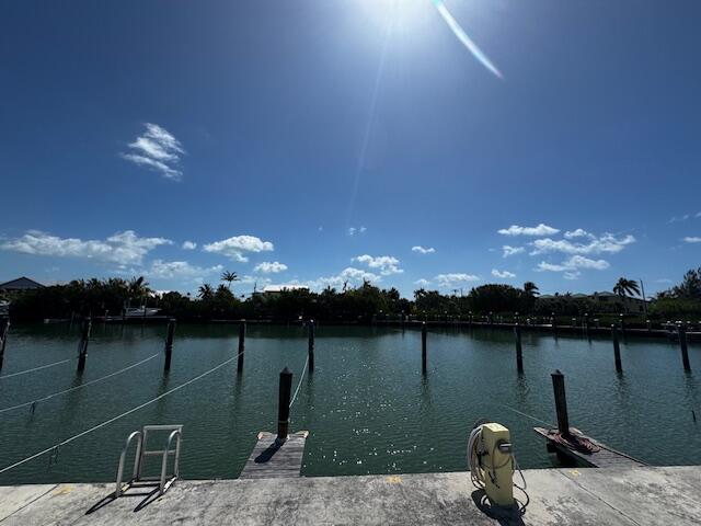 105 Avenue D Unit: 110