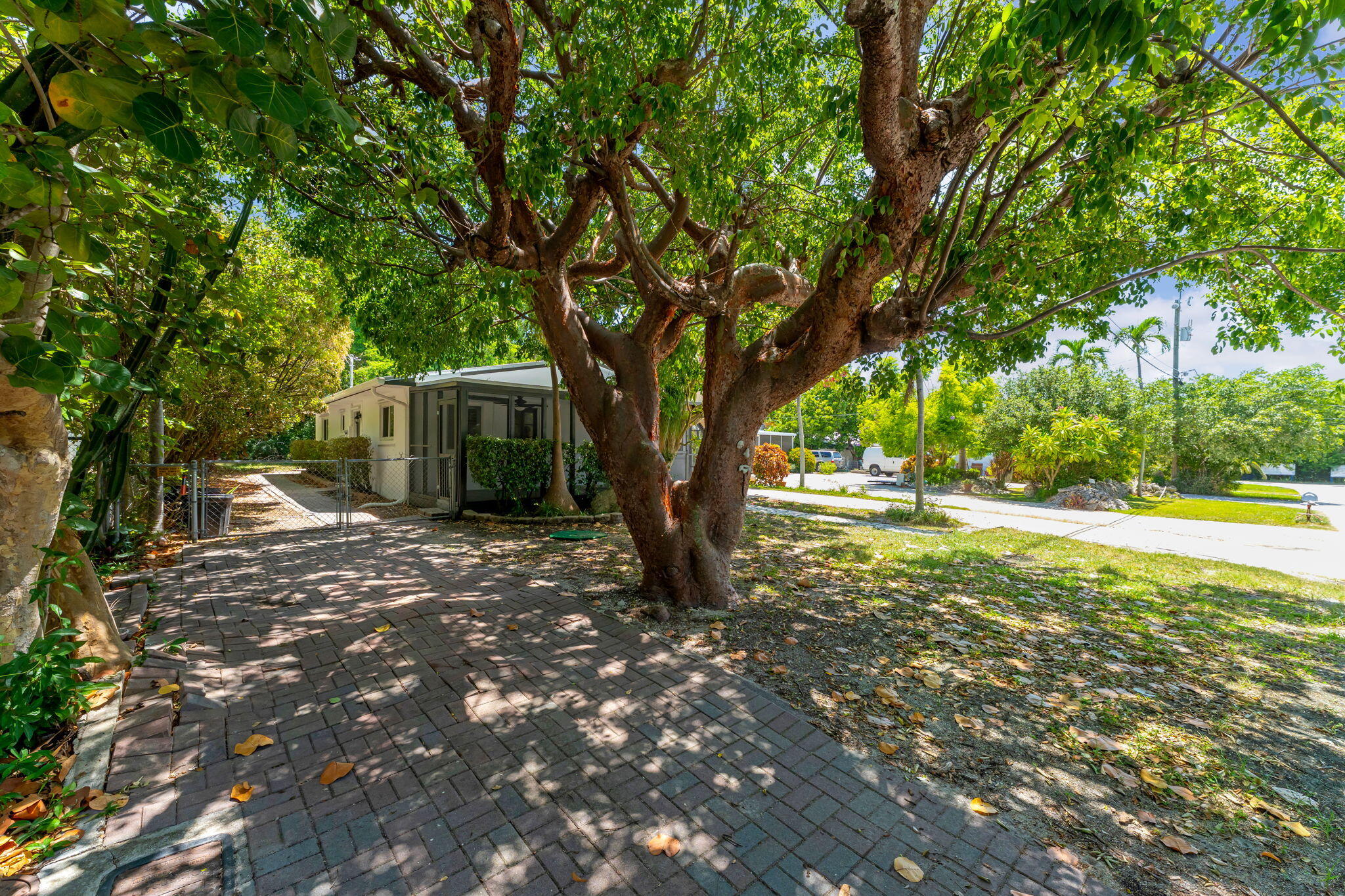 803 Brown Street