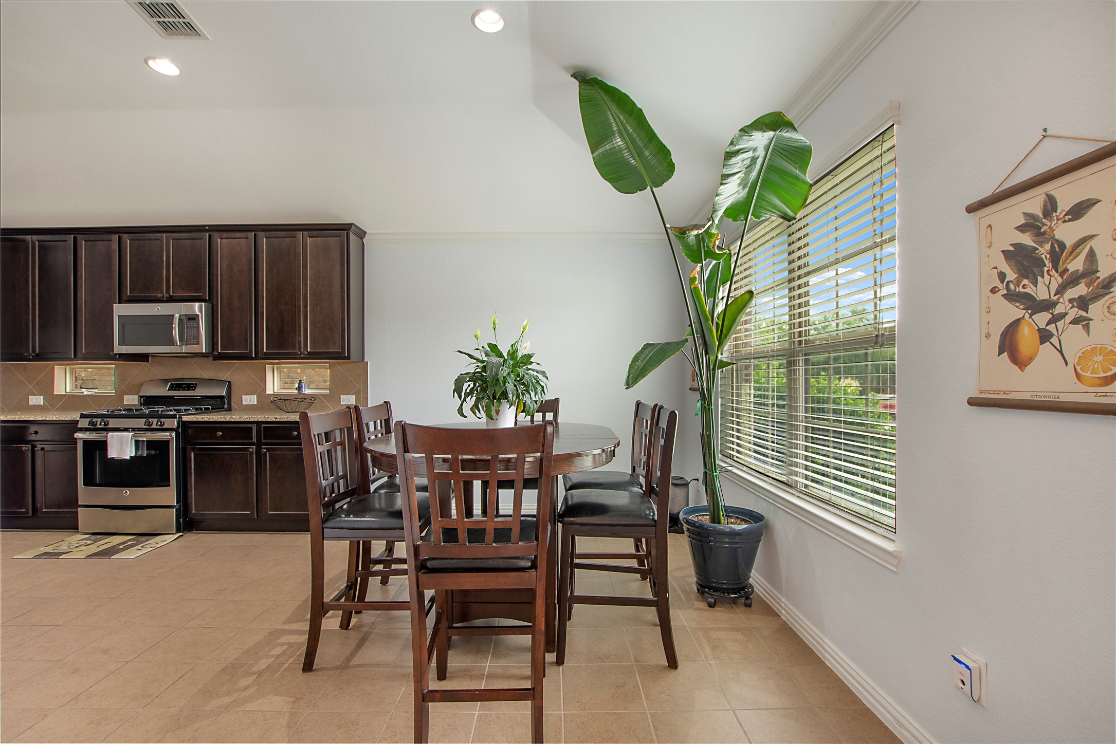 1112 Paluxy Lane