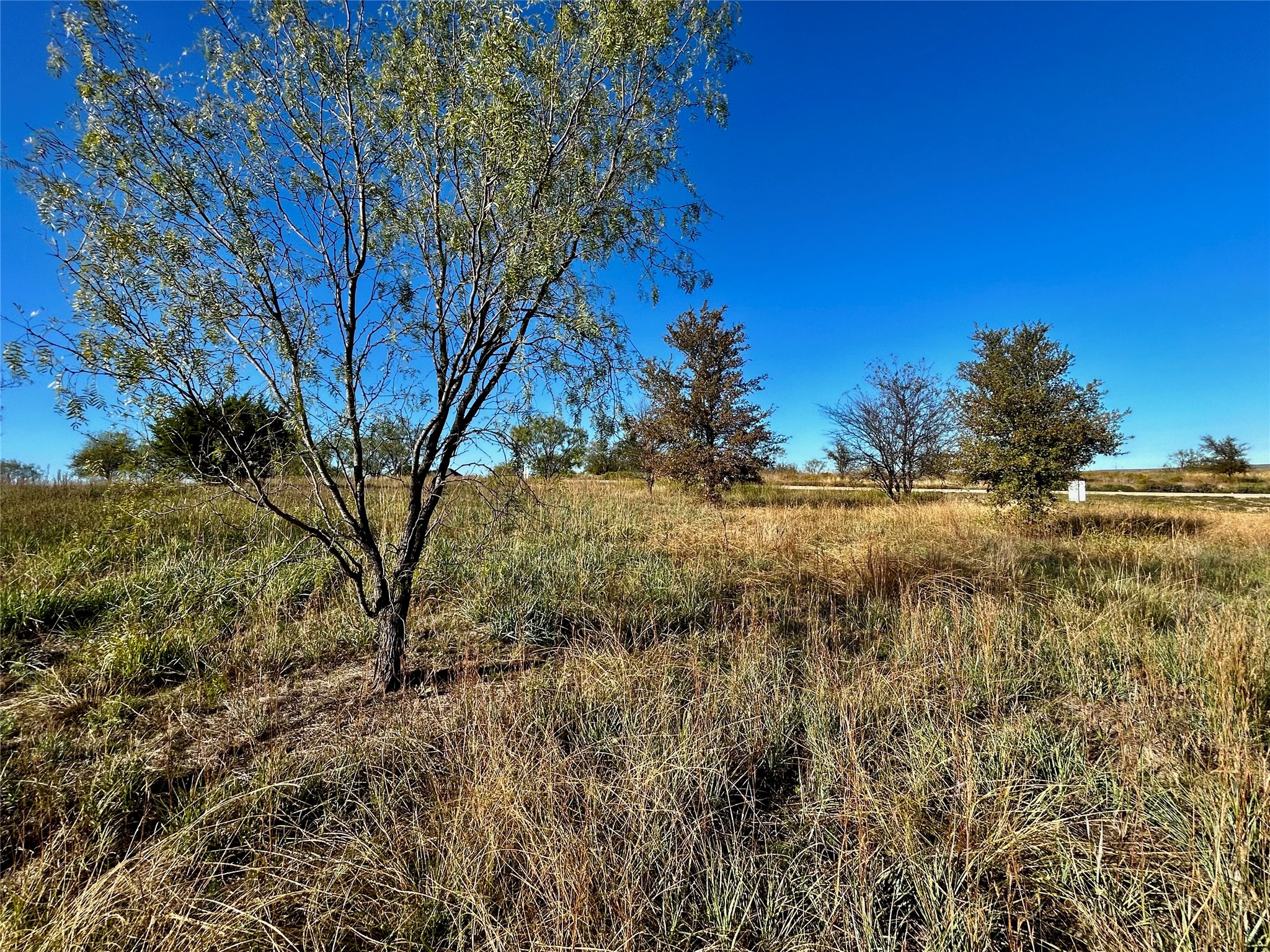 2036 Hidden Bluff Drive