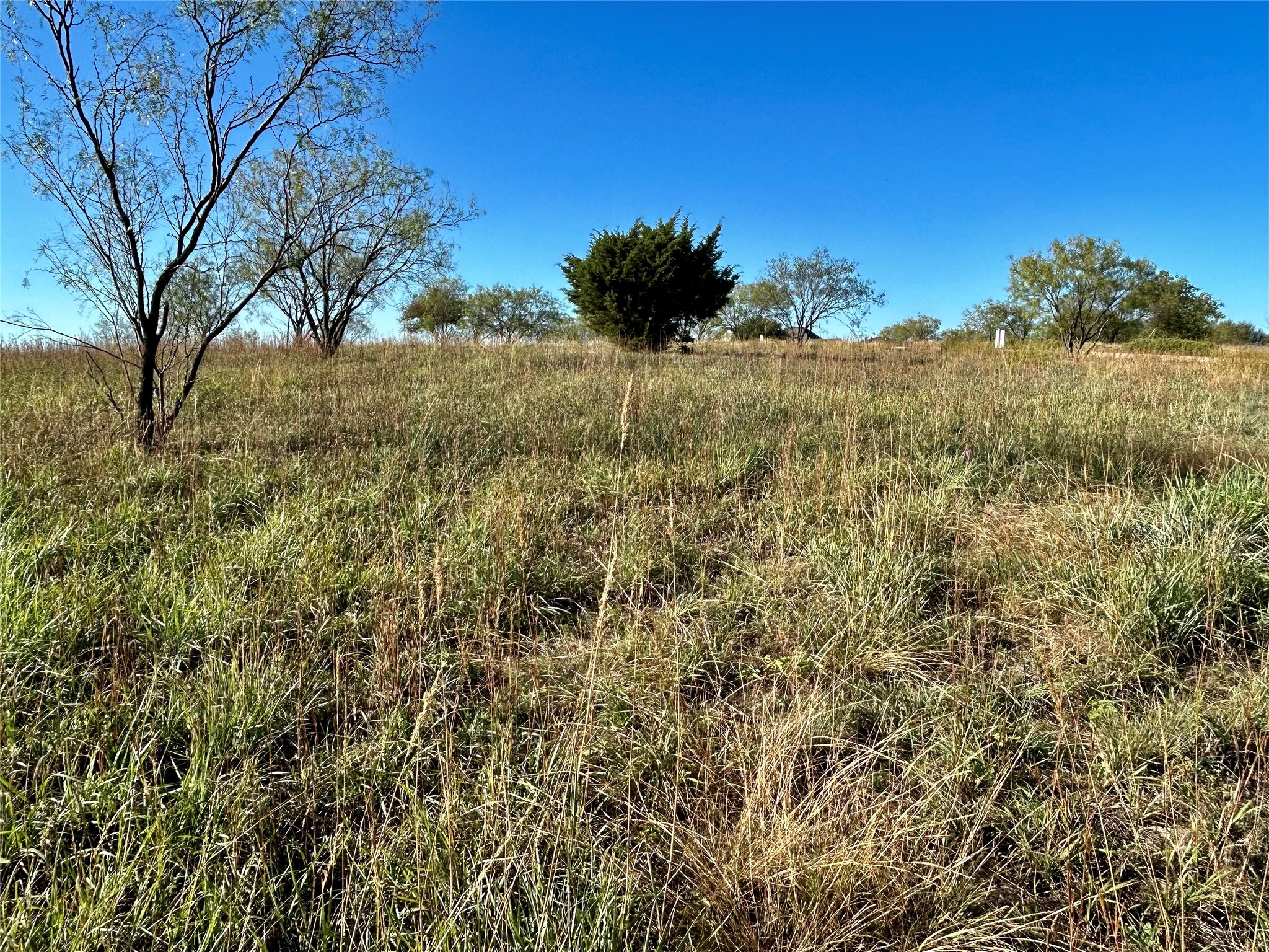 2036 Hidden Bluff Drive