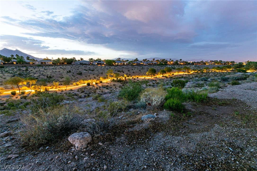 10224 Birch Bluff Lane