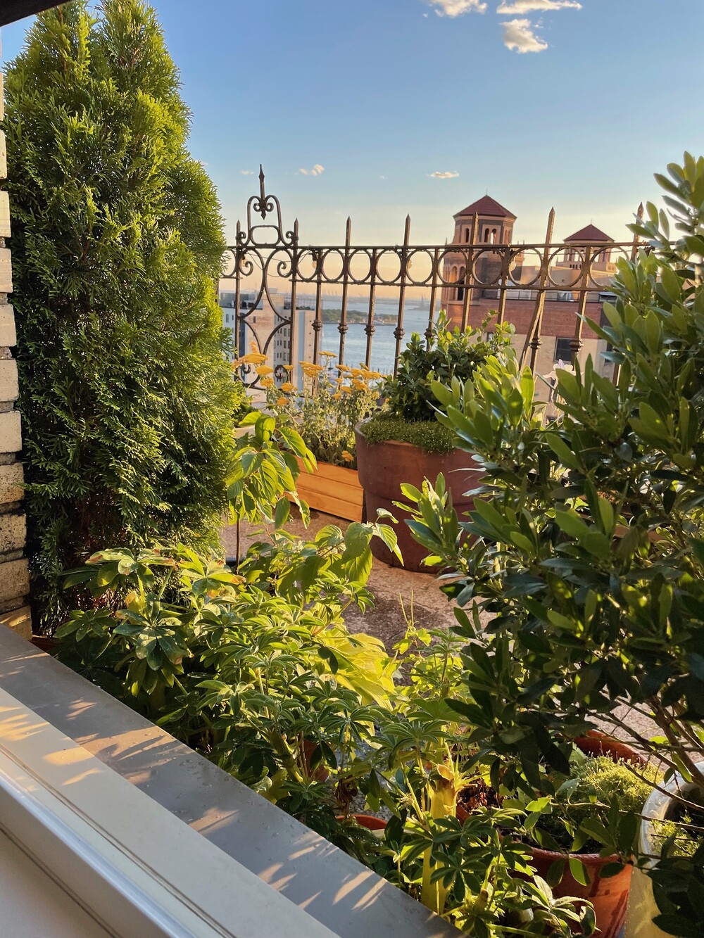 111 HICKS Street 16D