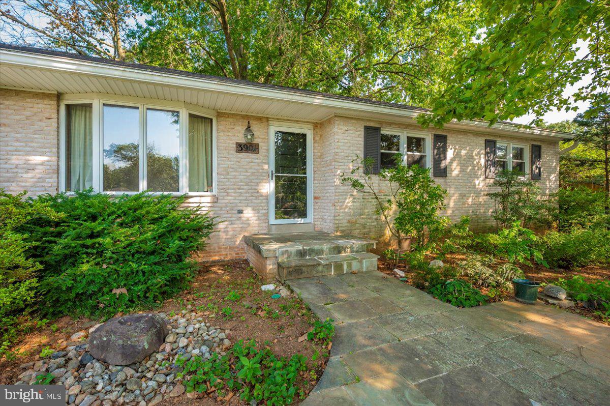 3901 Shadywood Ct