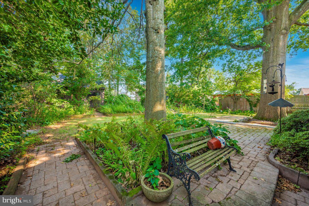 3901 Shadywood Ct