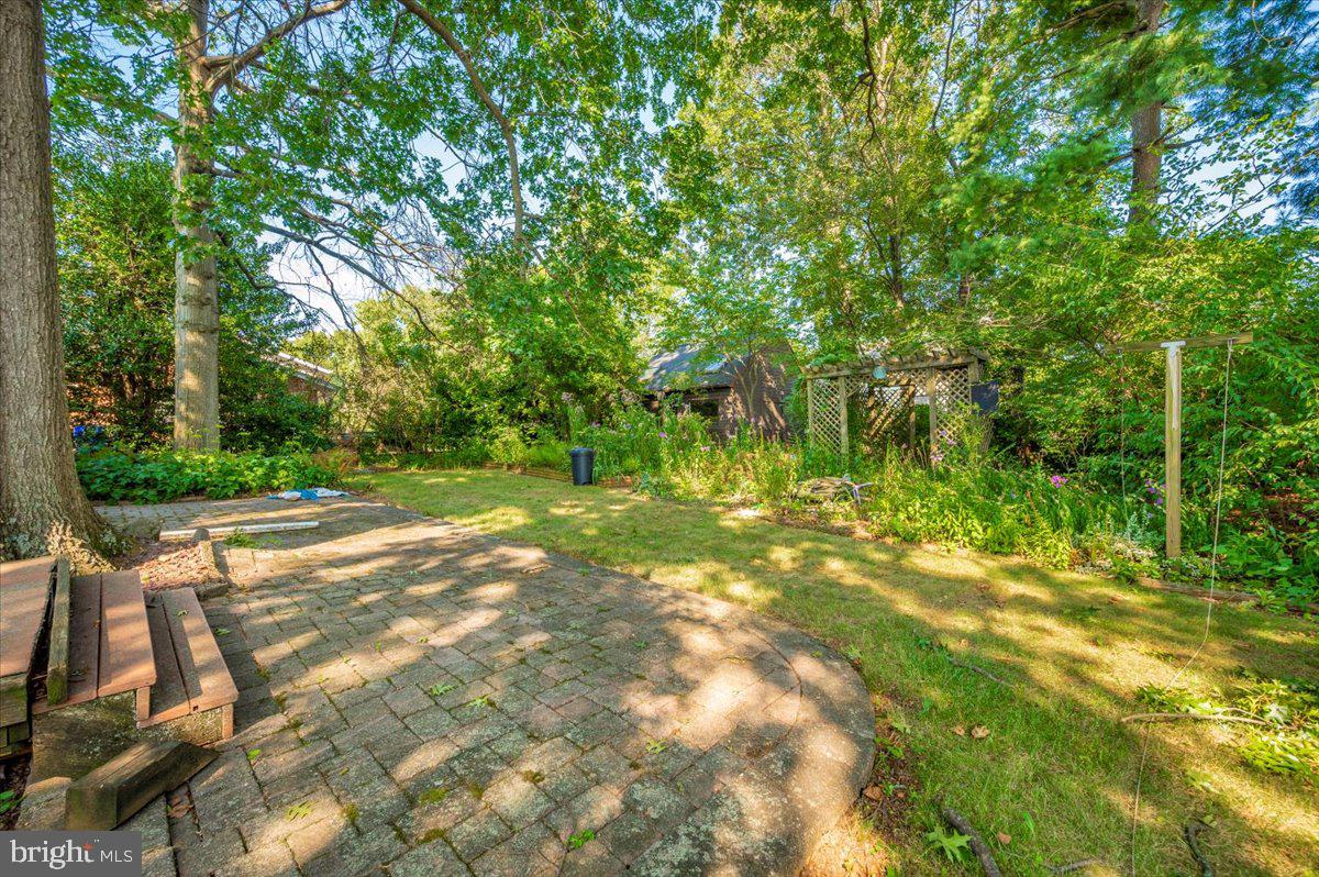 3901 Shadywood Ct