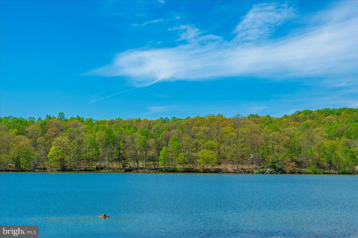 10742 LAKE EDGE COURT