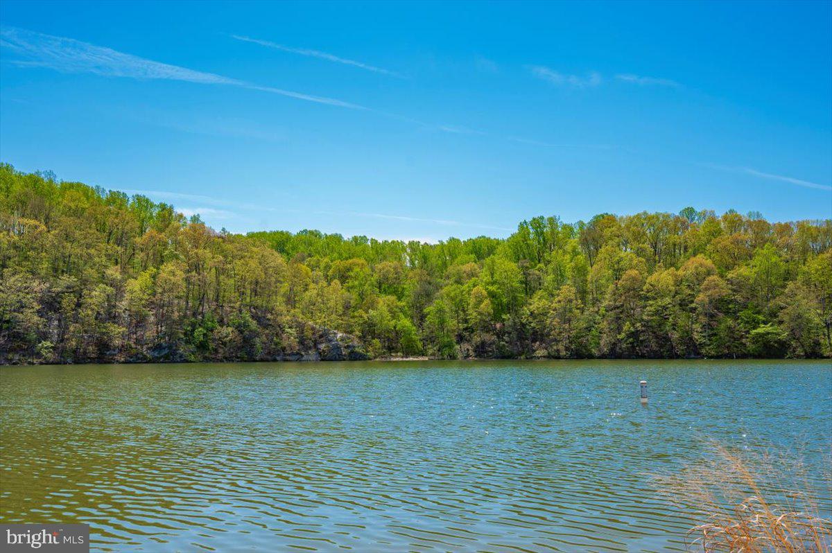 10742 LAKE EDGE COURT