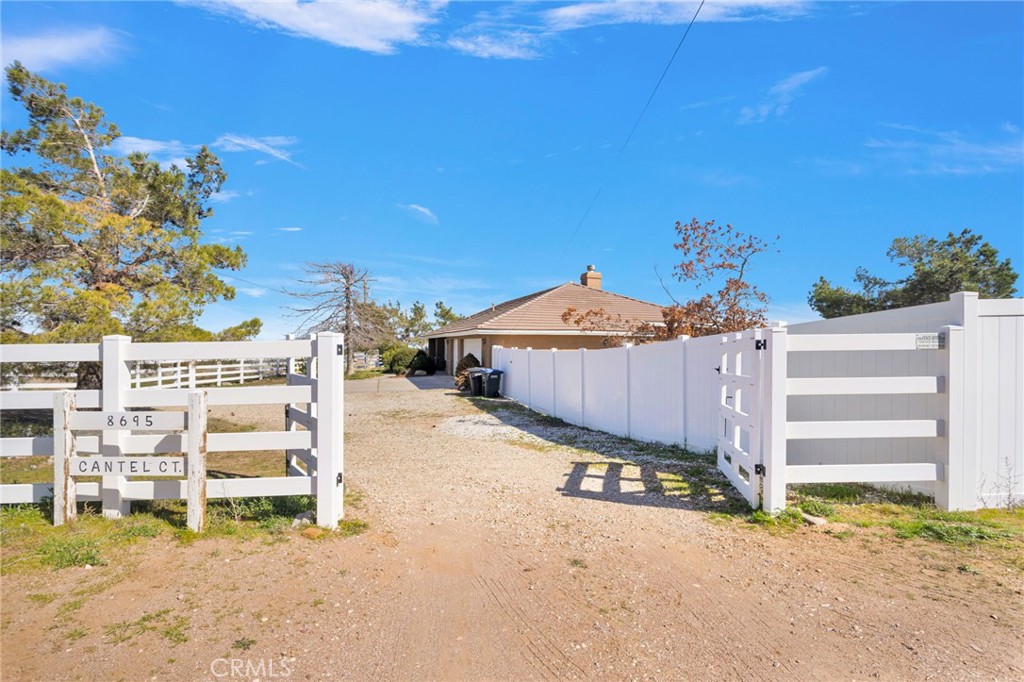 8695 Cantel Court