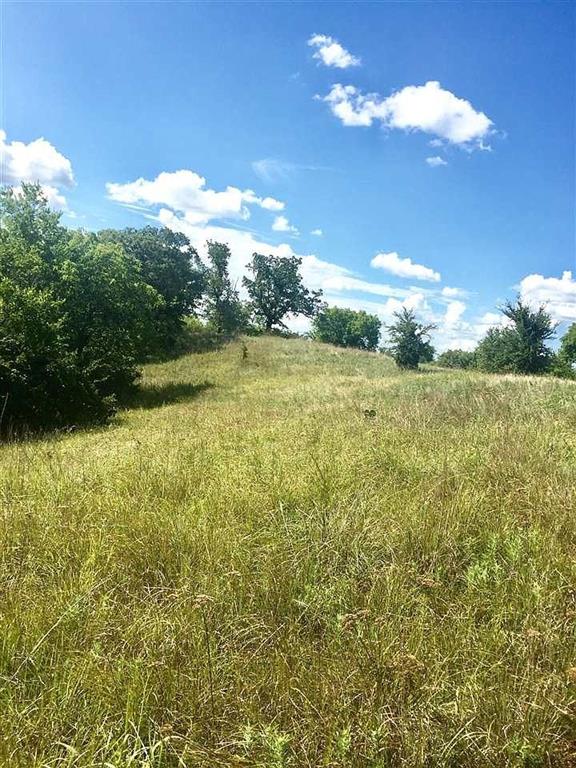 0 S Chickasaw Trail Road