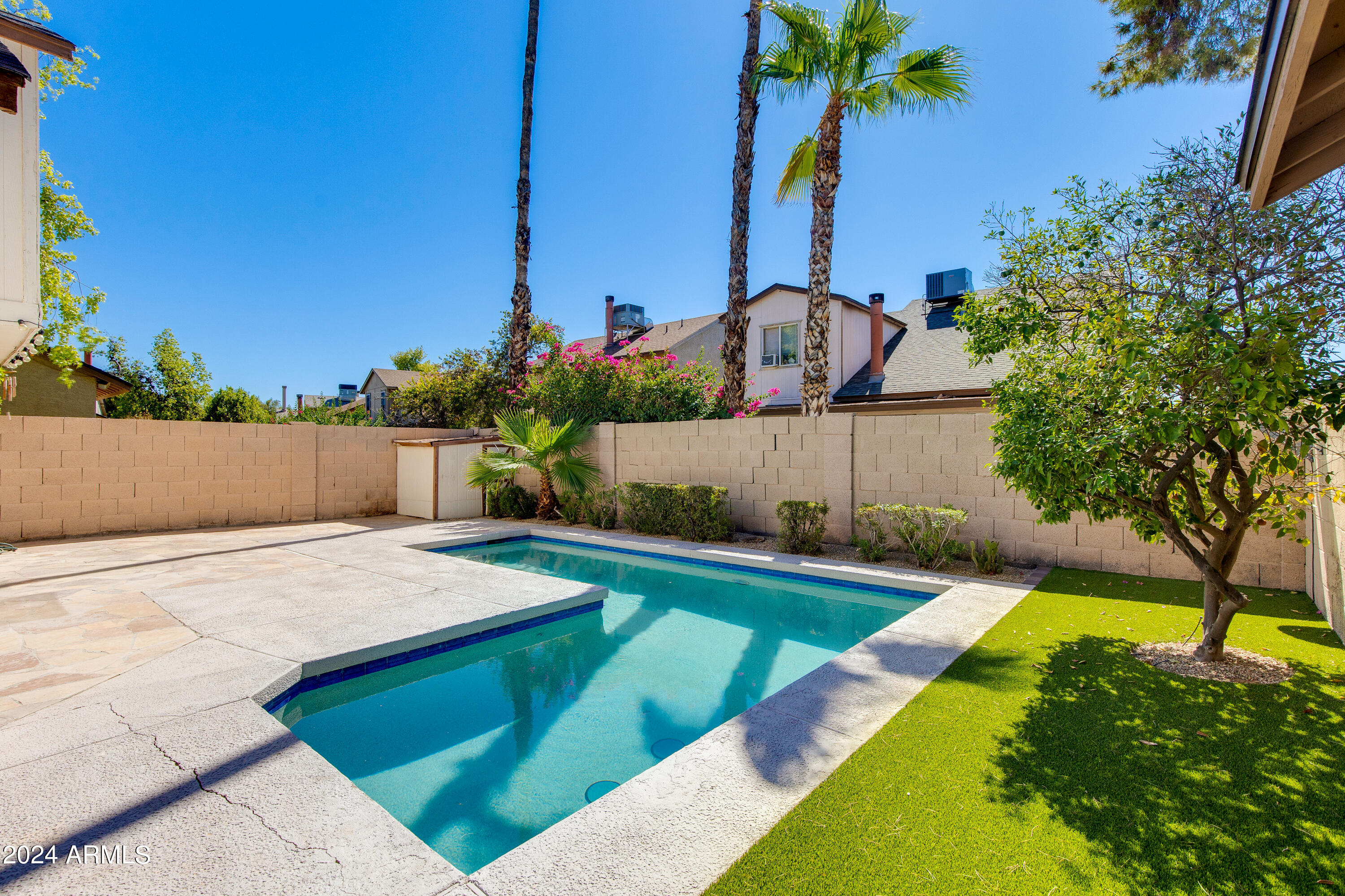 Backyard pool bordered by a pale stone patio and green lawn, with palms and a block wall.