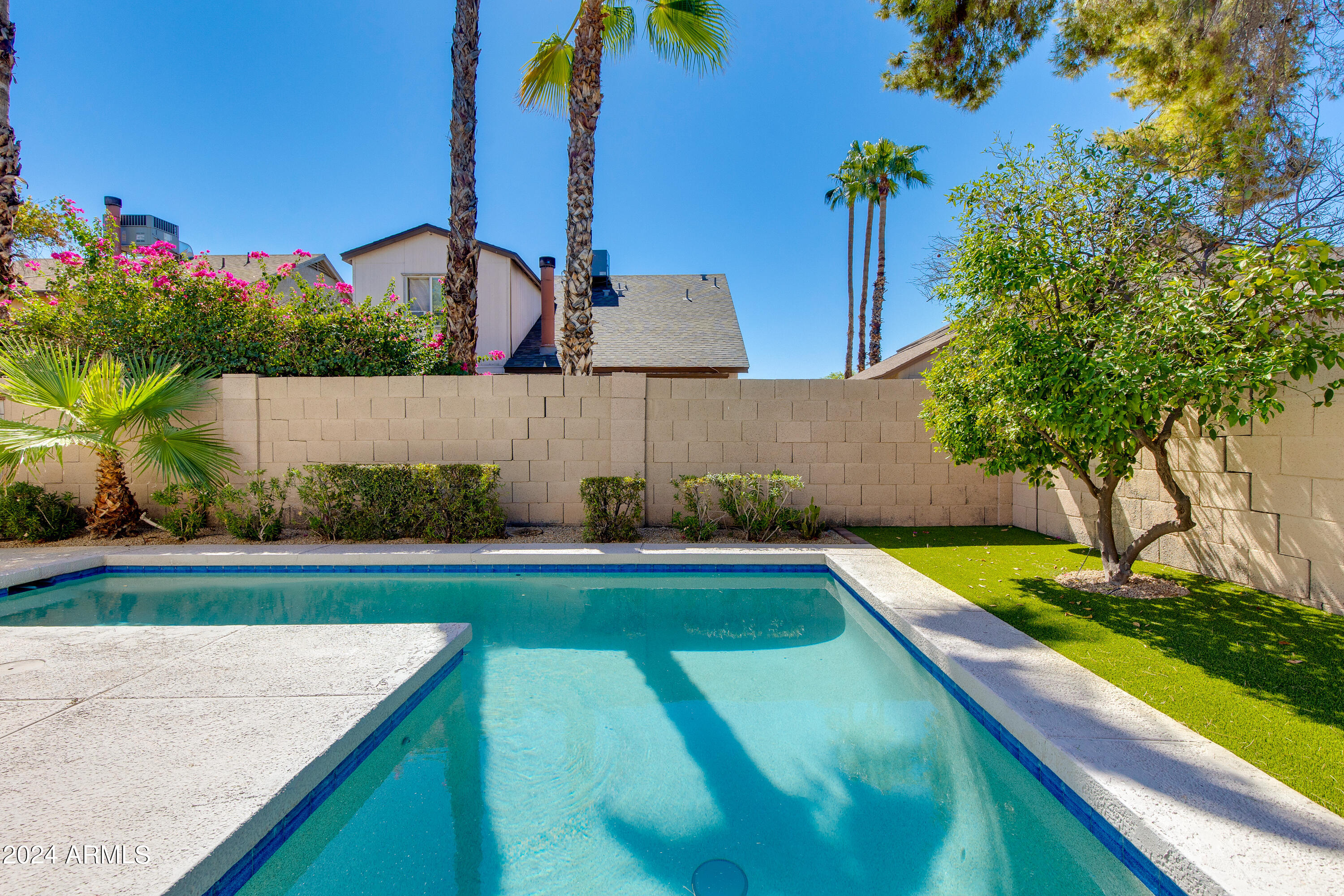 Backyard swimming pool bordered by a pale concrete deck, block walls, palms, and green lawn.