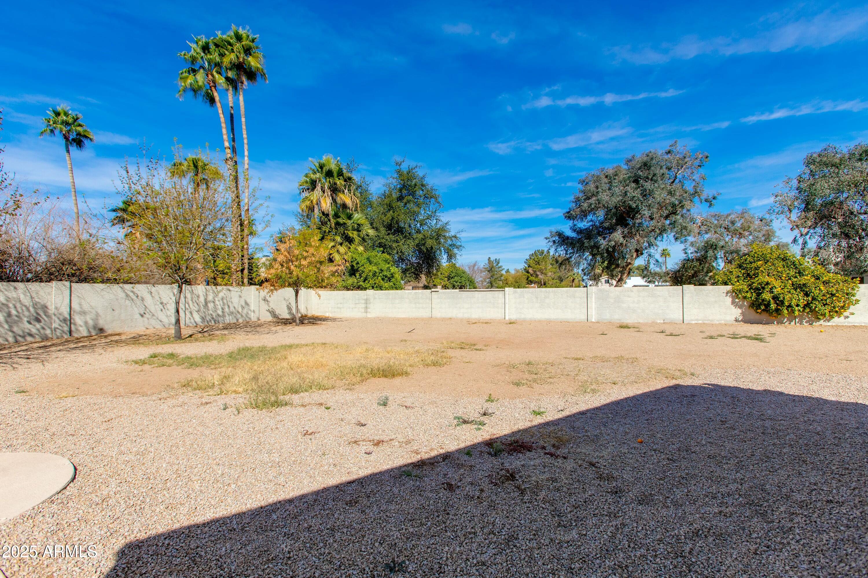 Gravel backyard with a block wall, mature trees, and palm trees.