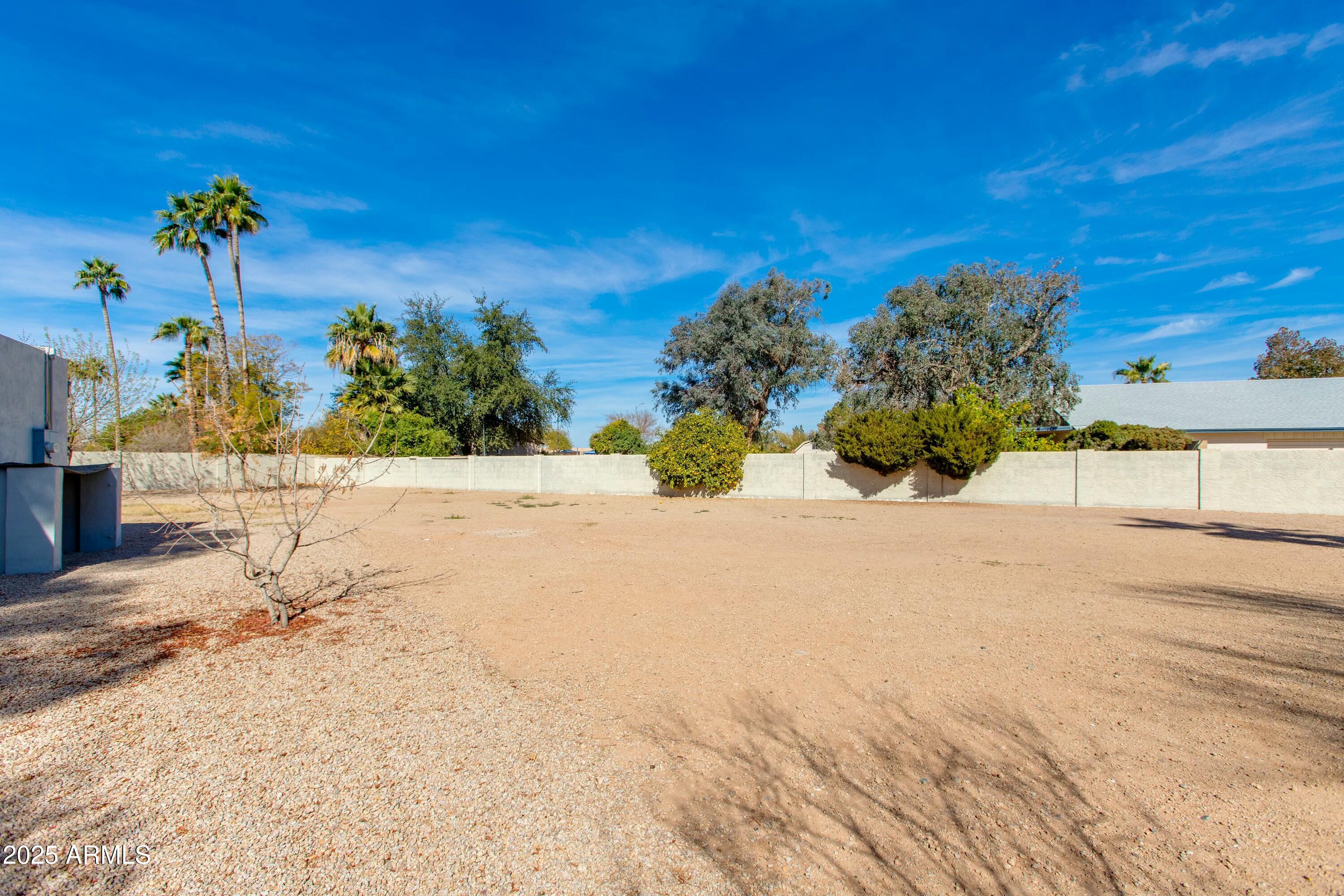 Spacious gravel-and-dirt backyard enclosed by a wall, with mature palms and trees.