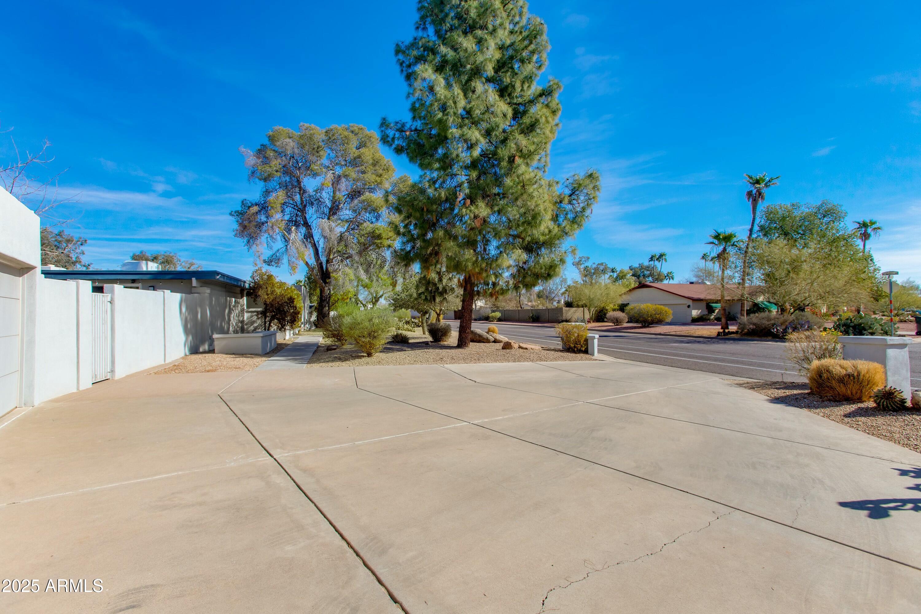 Wide concrete driveway beside a white wall, with desert landscaping and a tall pine tree near the street.