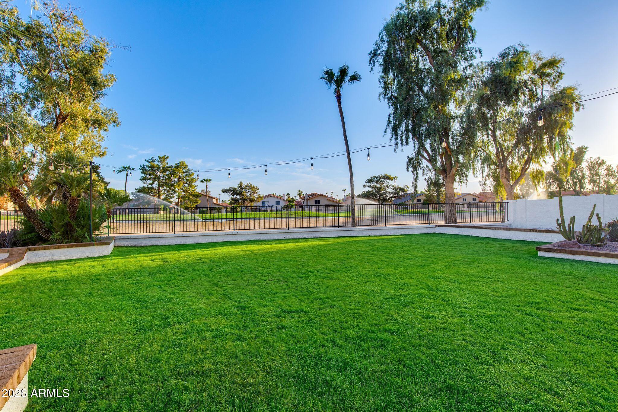 Backyard lawn with palm trees, string lights, and a view across the fence to a grassy area.