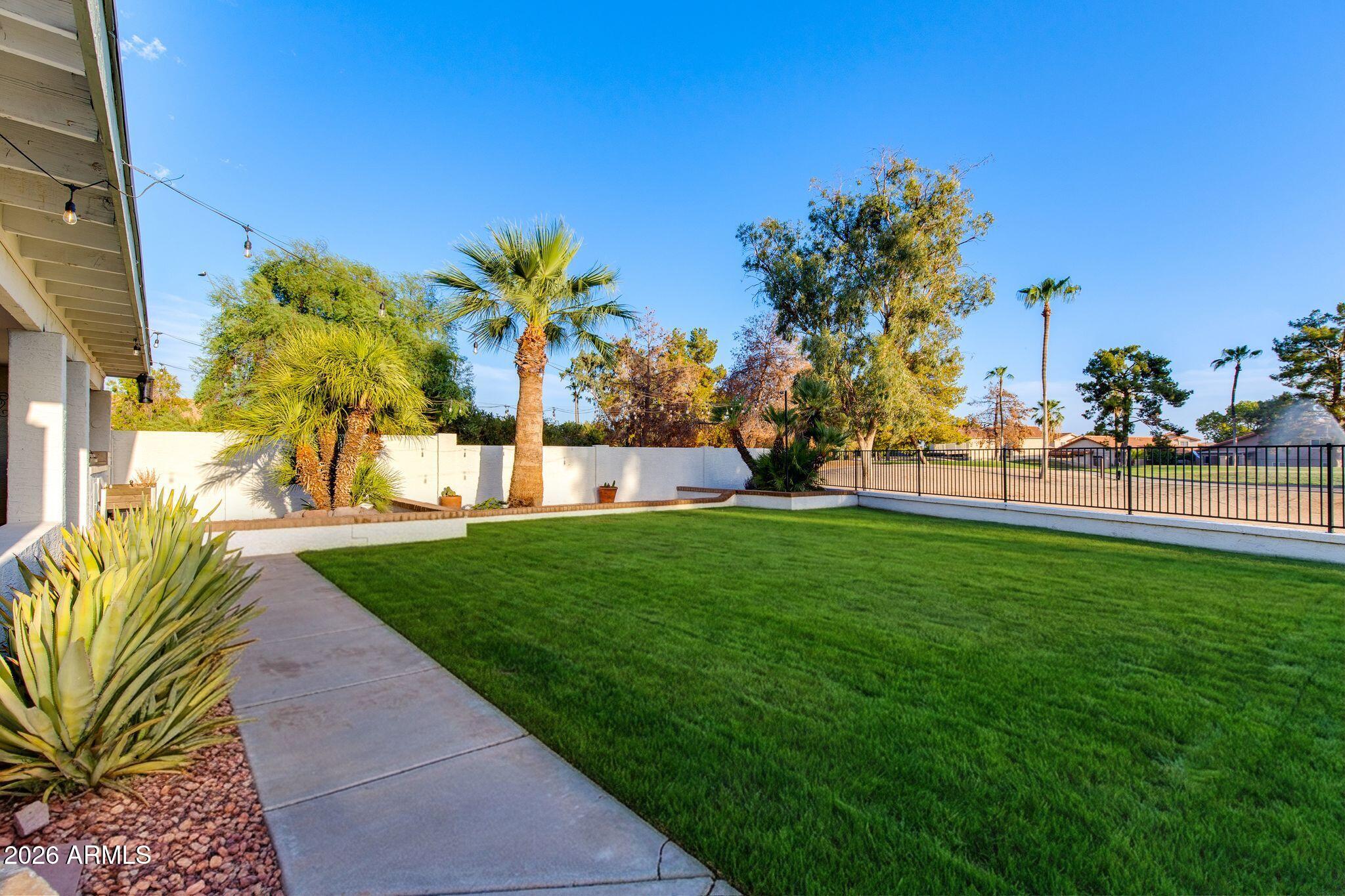 Backyard with a broad green lawn, palm trees, and a patio bordered by a white wall and black fence.