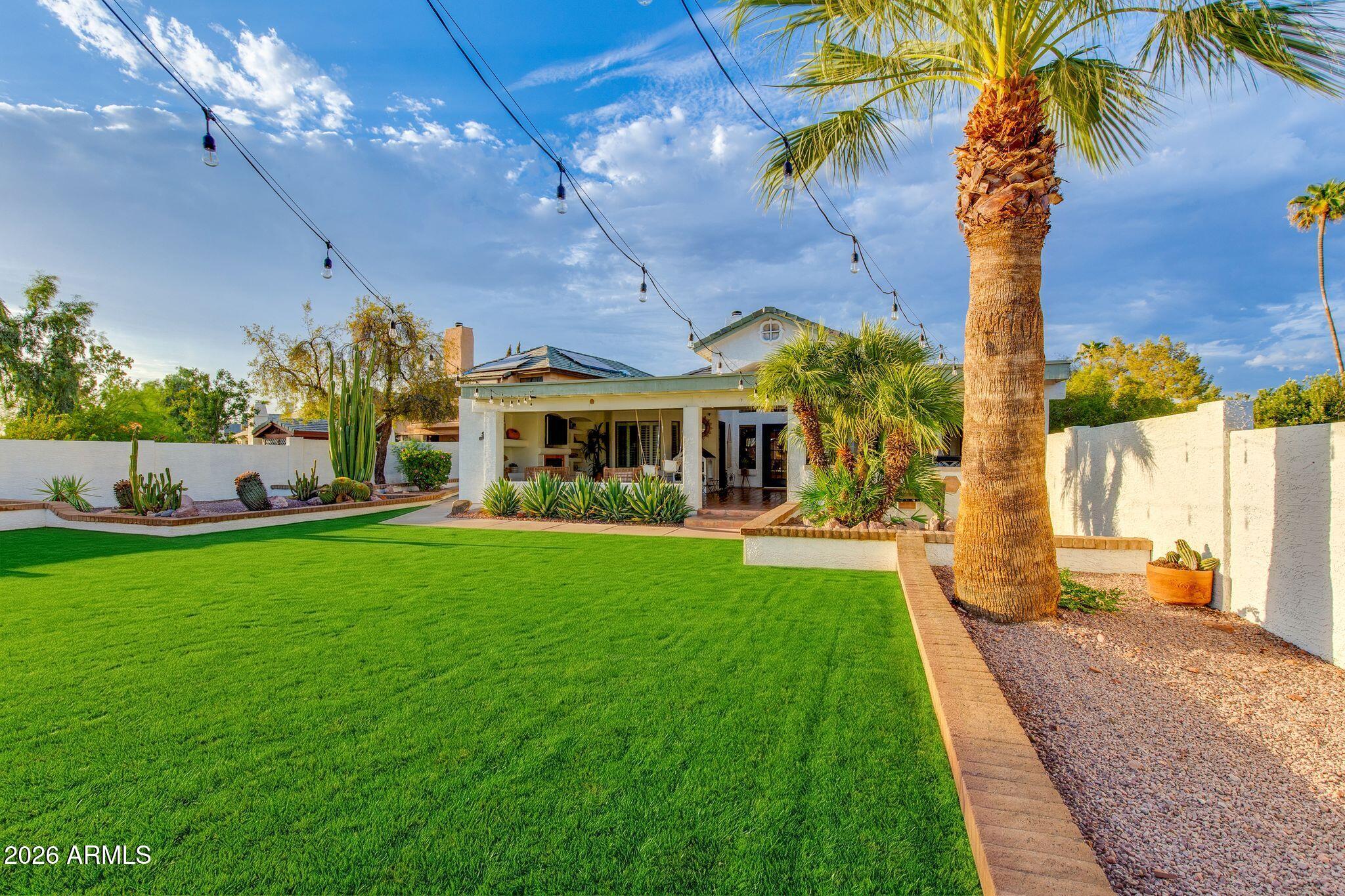Home backyard with a broad green lawn, covered patio, desert plants, and a large palm tree.