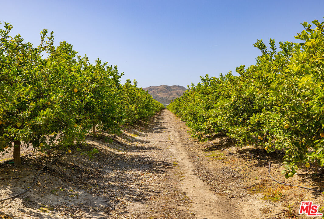 13721 W Telegraph Rd