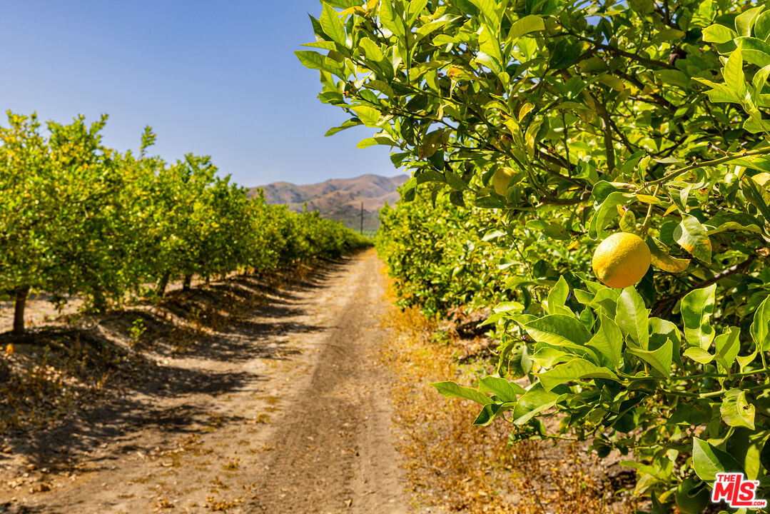 13721 W Telegraph Rd