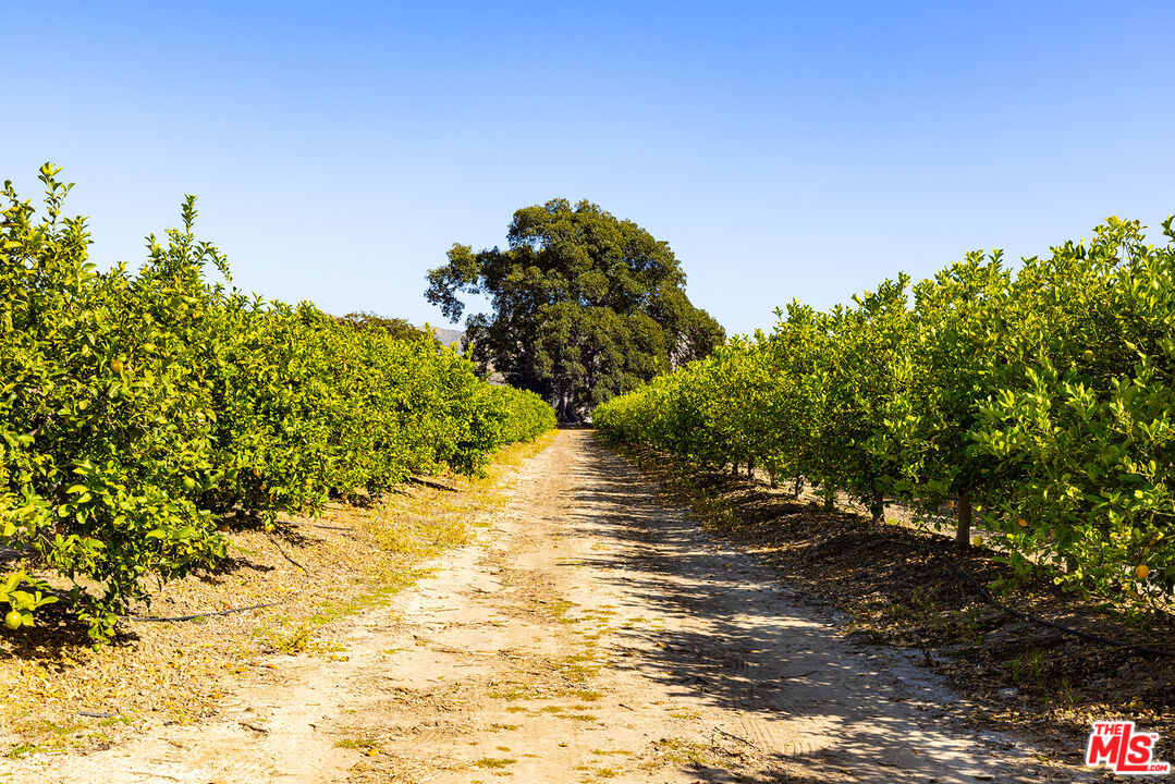 13721 W Telegraph Rd