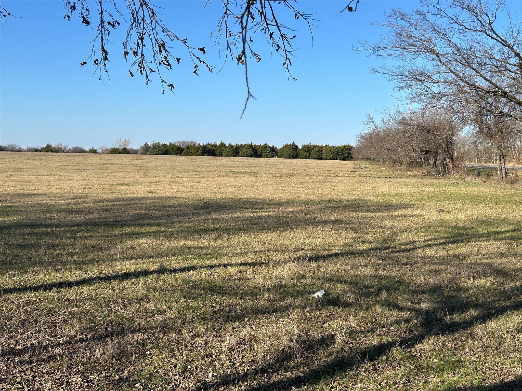 TBD TX-160